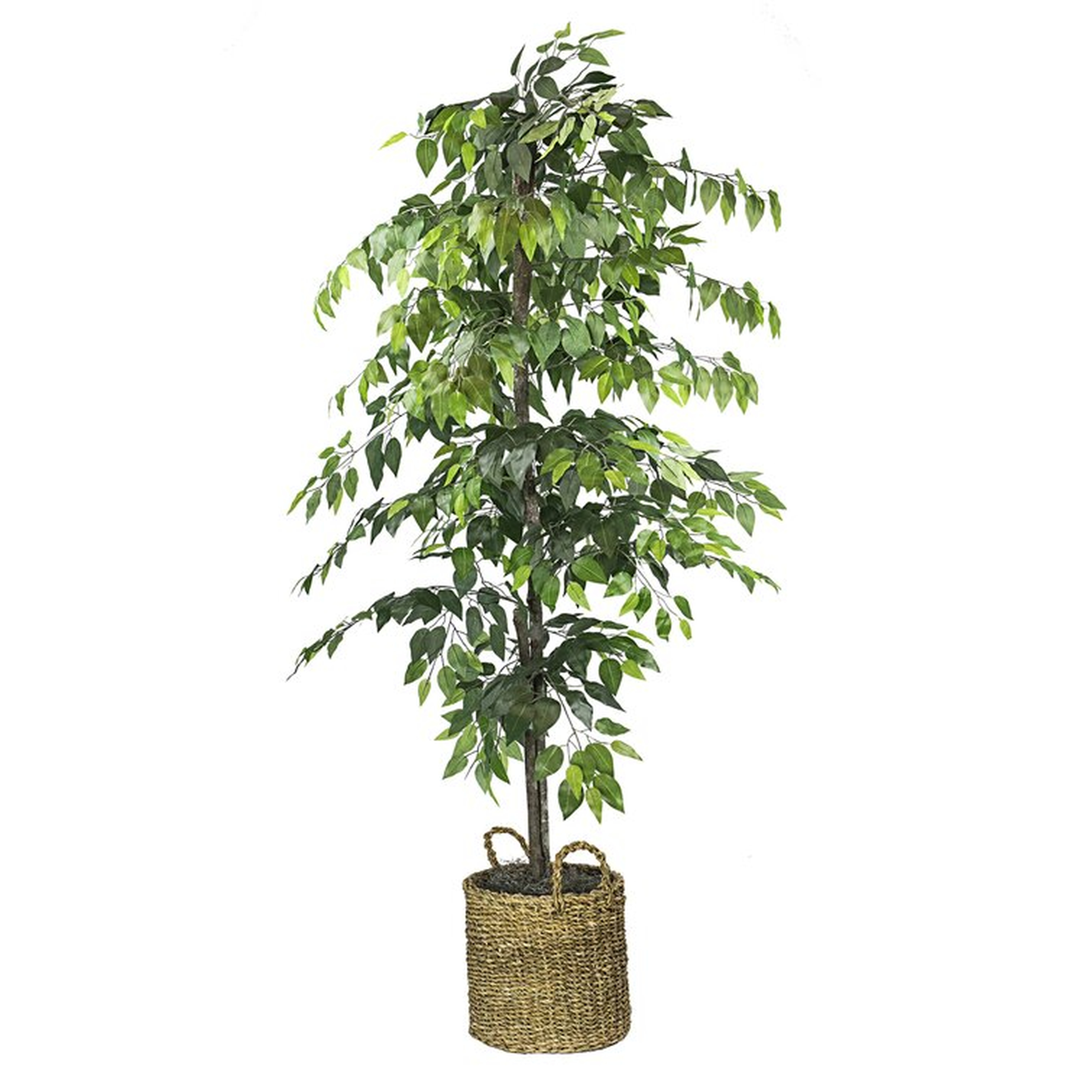 72" Artificial Ficus Tree in Basket - Wayfair