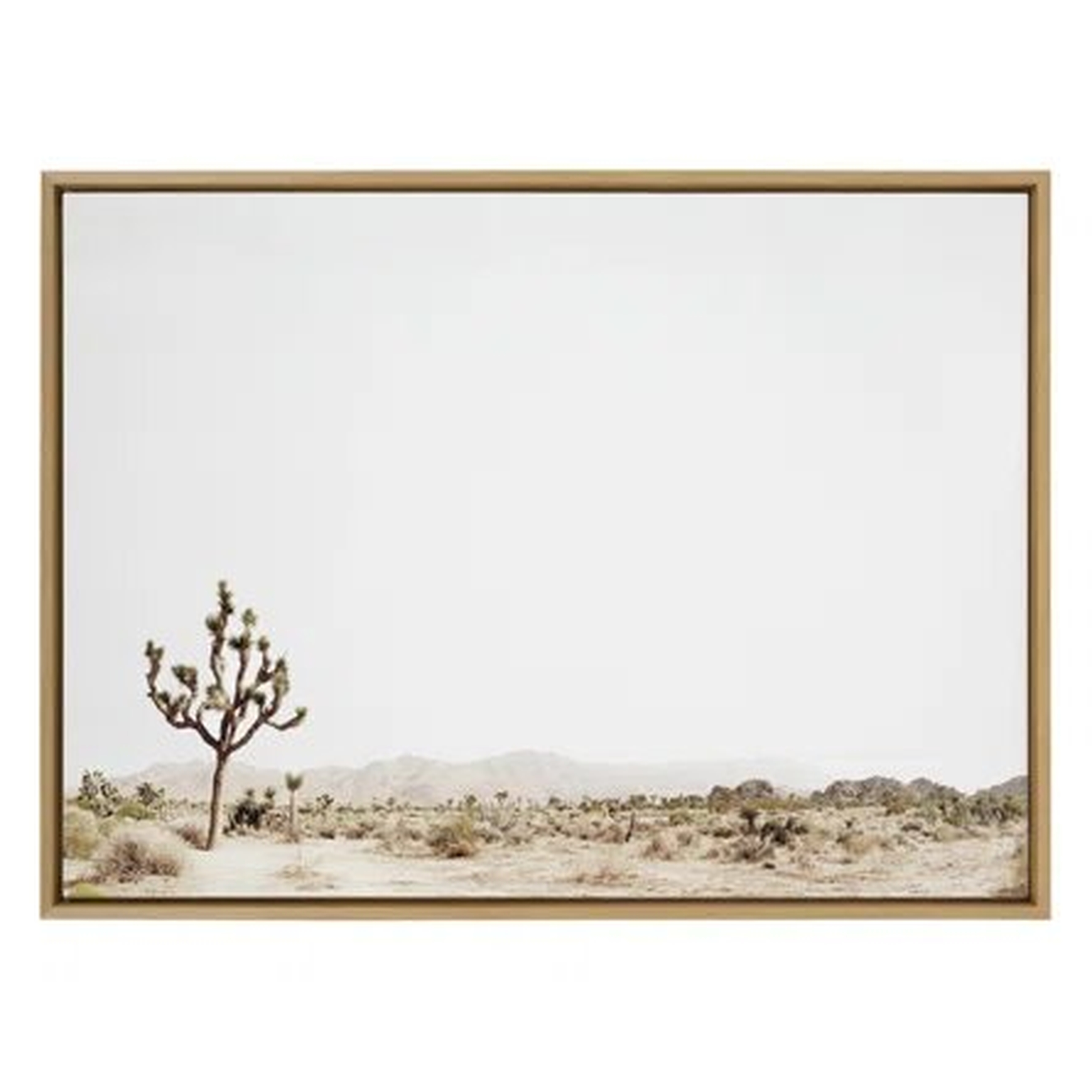 Union Rustic Sylvie Lone Joshua Tree Framed Canvas By Amy Peterson Art Studio 31.5W" x 42"H Natural - Wayfair