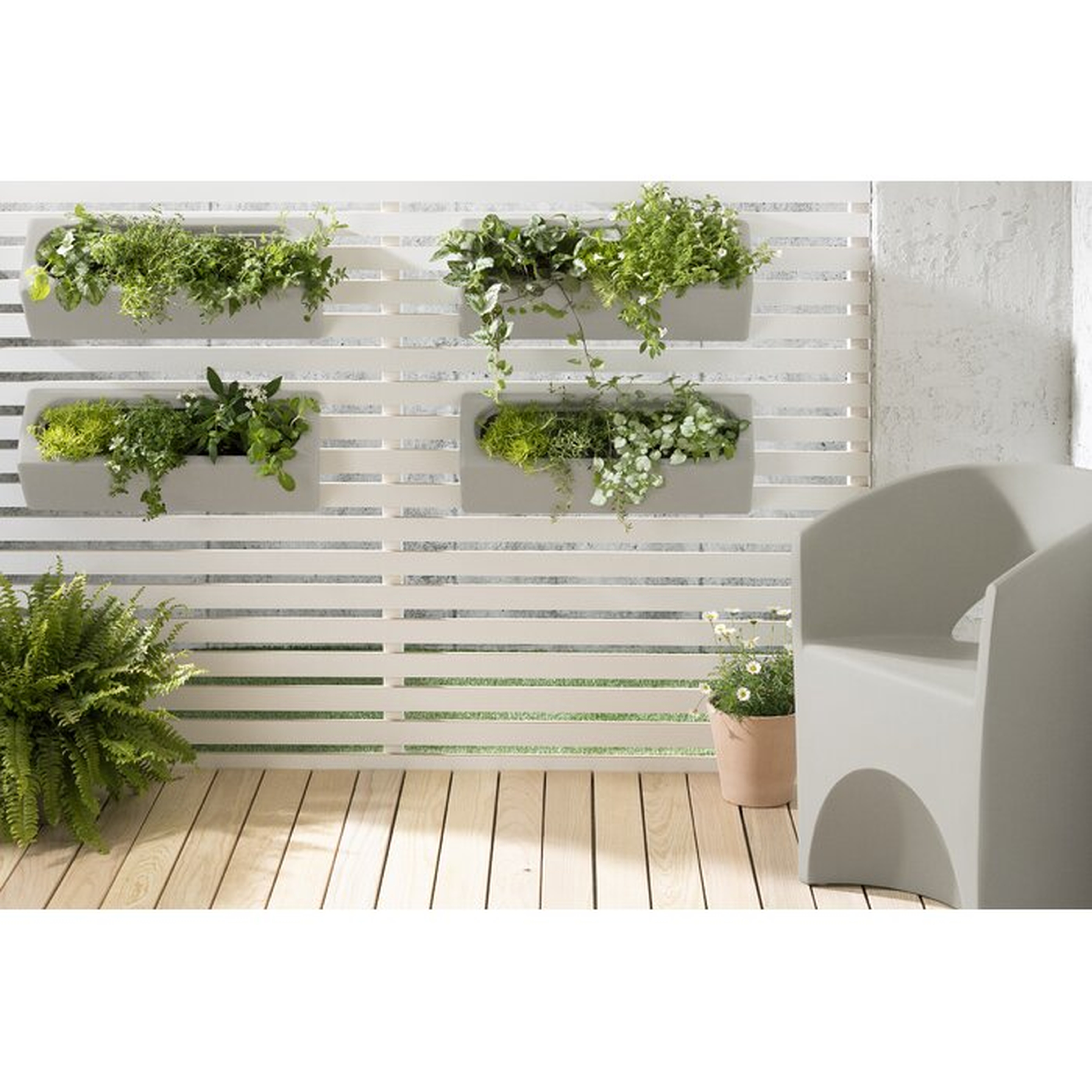 Dalya 4-Piece Resin Wall Planter - Wayfair