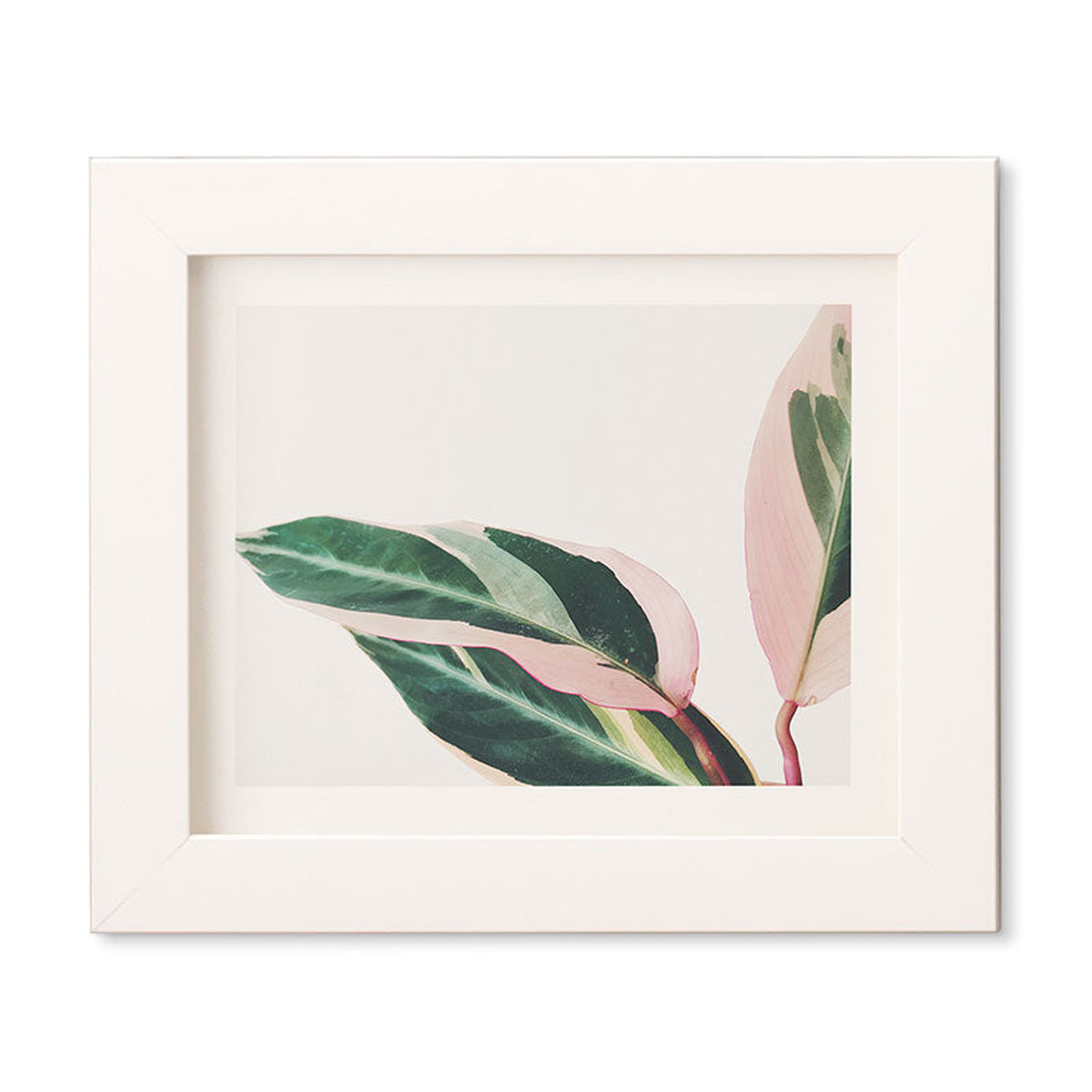 Pink Leaves Ii by Cassia Beck - Framed Wall Art Basic White 8" x 9.5" - Wander Print Co.