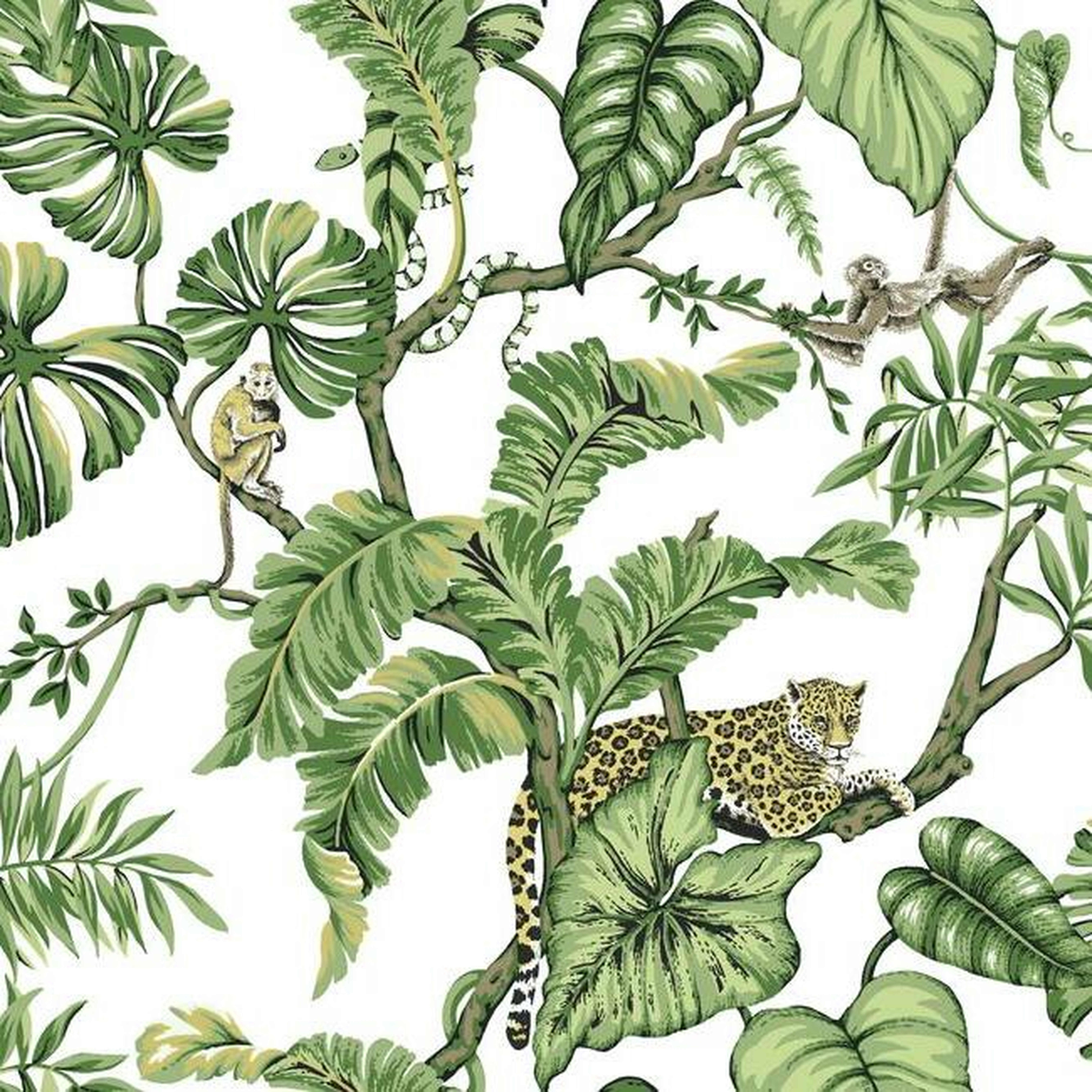 Jungle Cat Wallpaper - York Wallcoverings