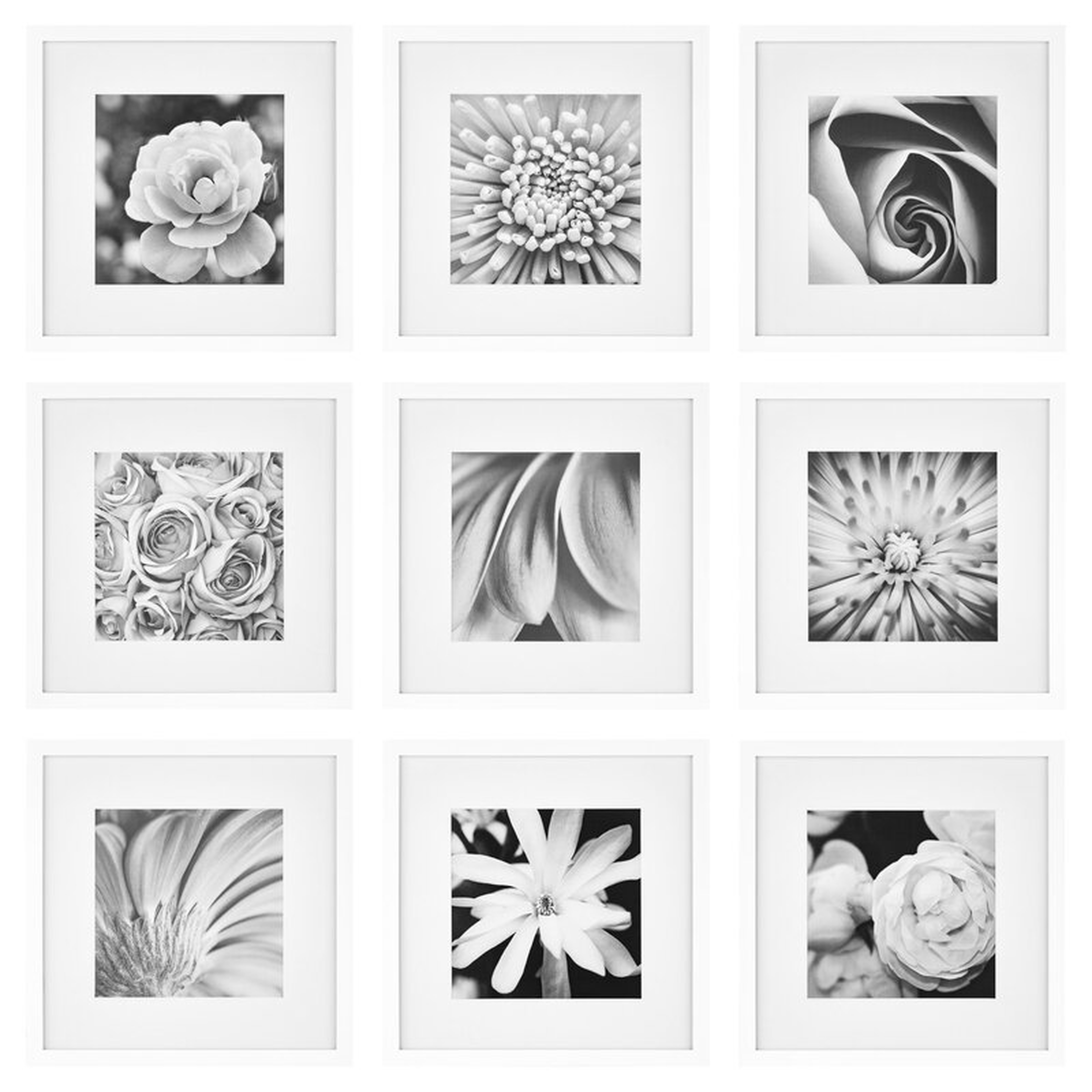Gallery Perfect 12" x 12" Hanging Wall Wood Picture Frame Kit - 9 Piece Set - Wayfair