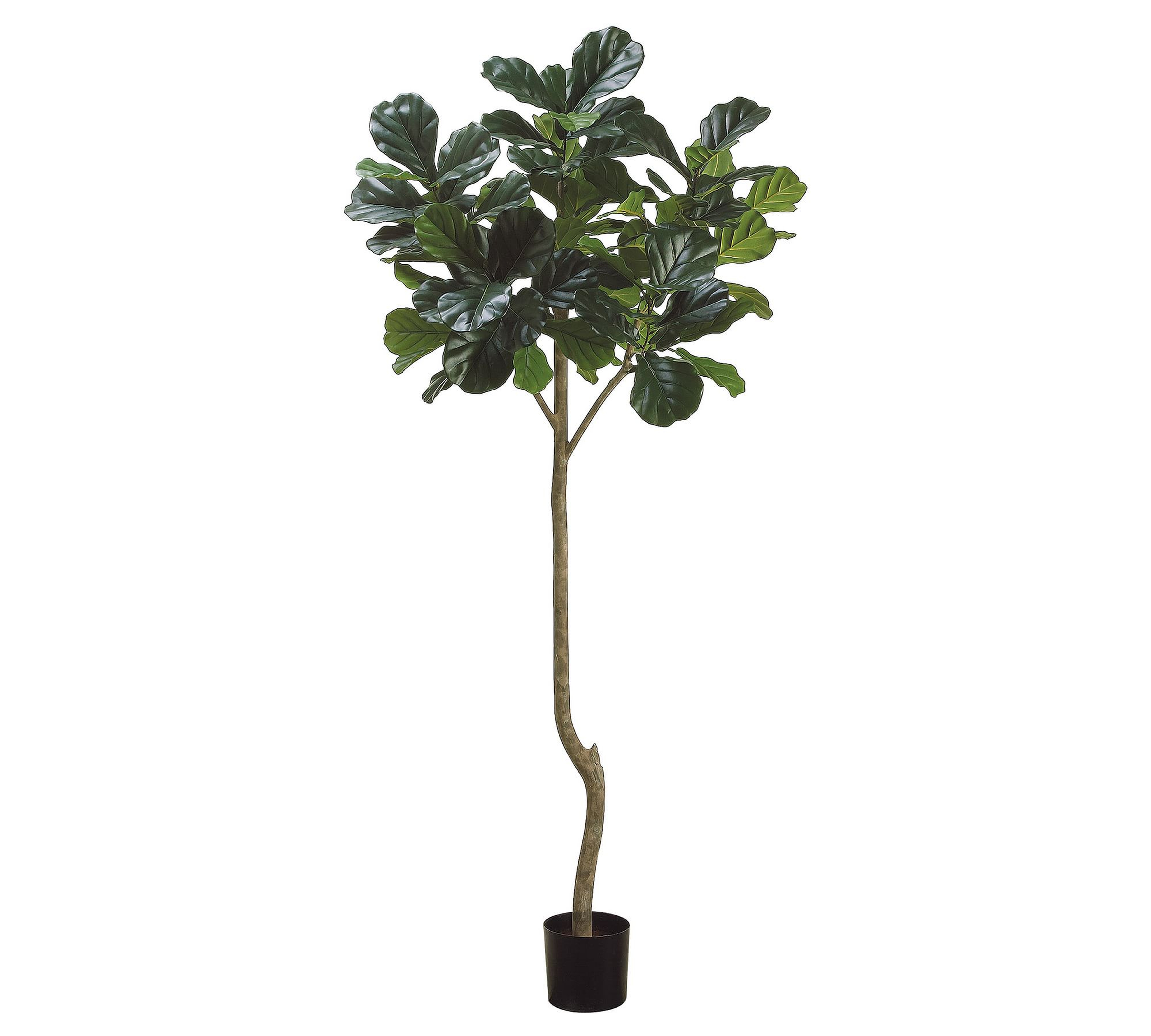 Faux Potted Fiddle Leaf Fig Tree - 7' - Pottery Barn