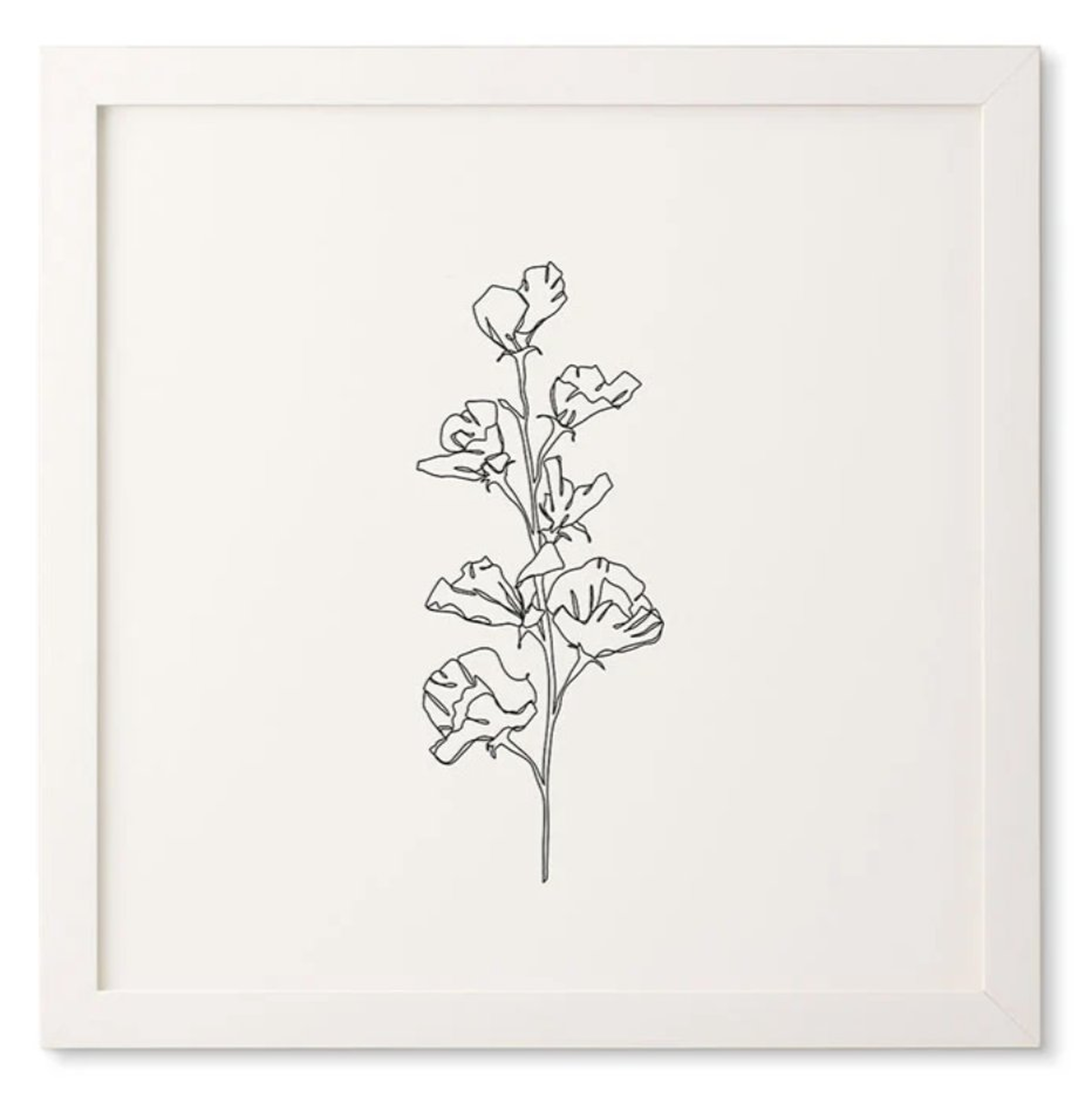 Cotton Flower - Framed Wall Art Basic White 20" x 20" - Deny Designs