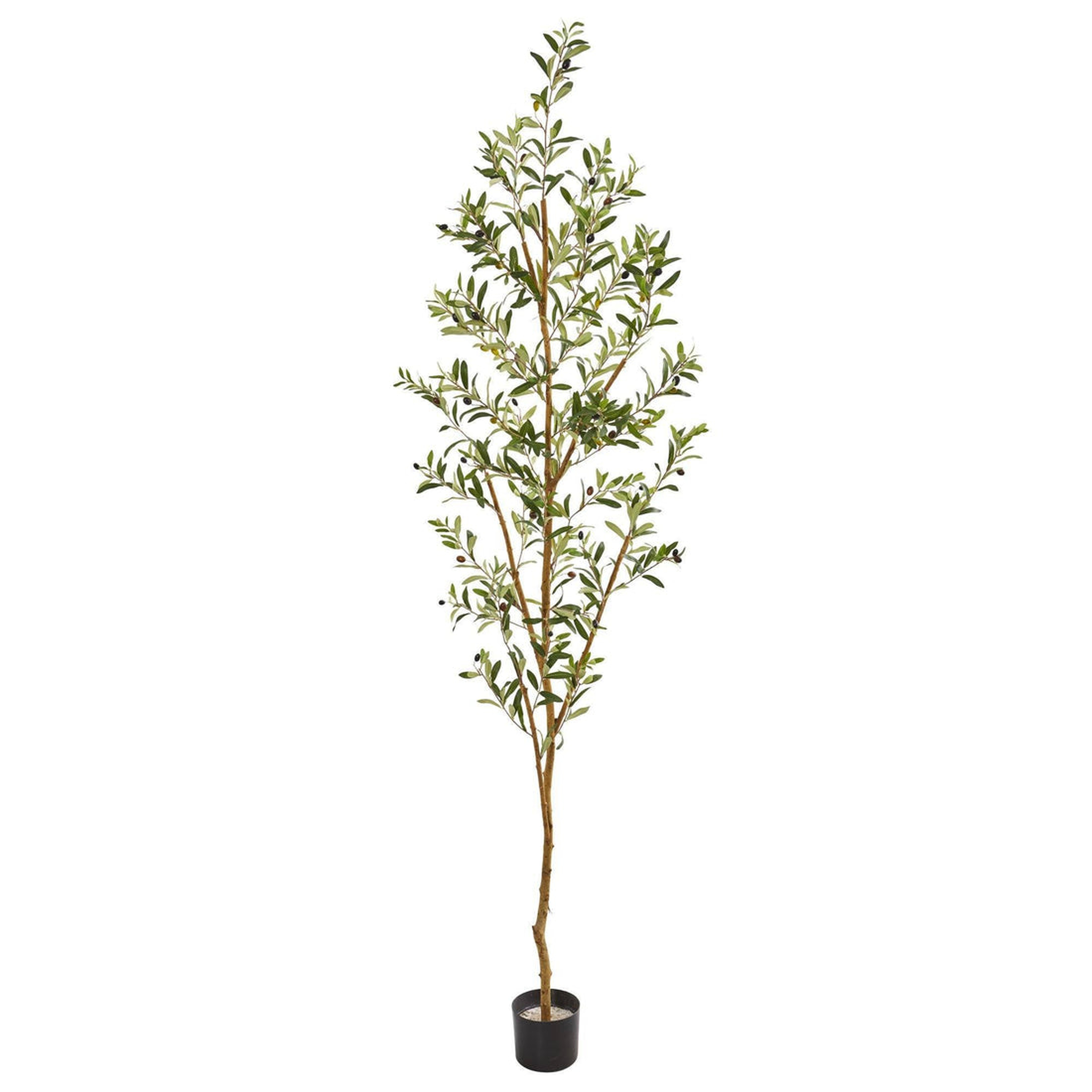 82” Artificial Olive Tree - Roam Common