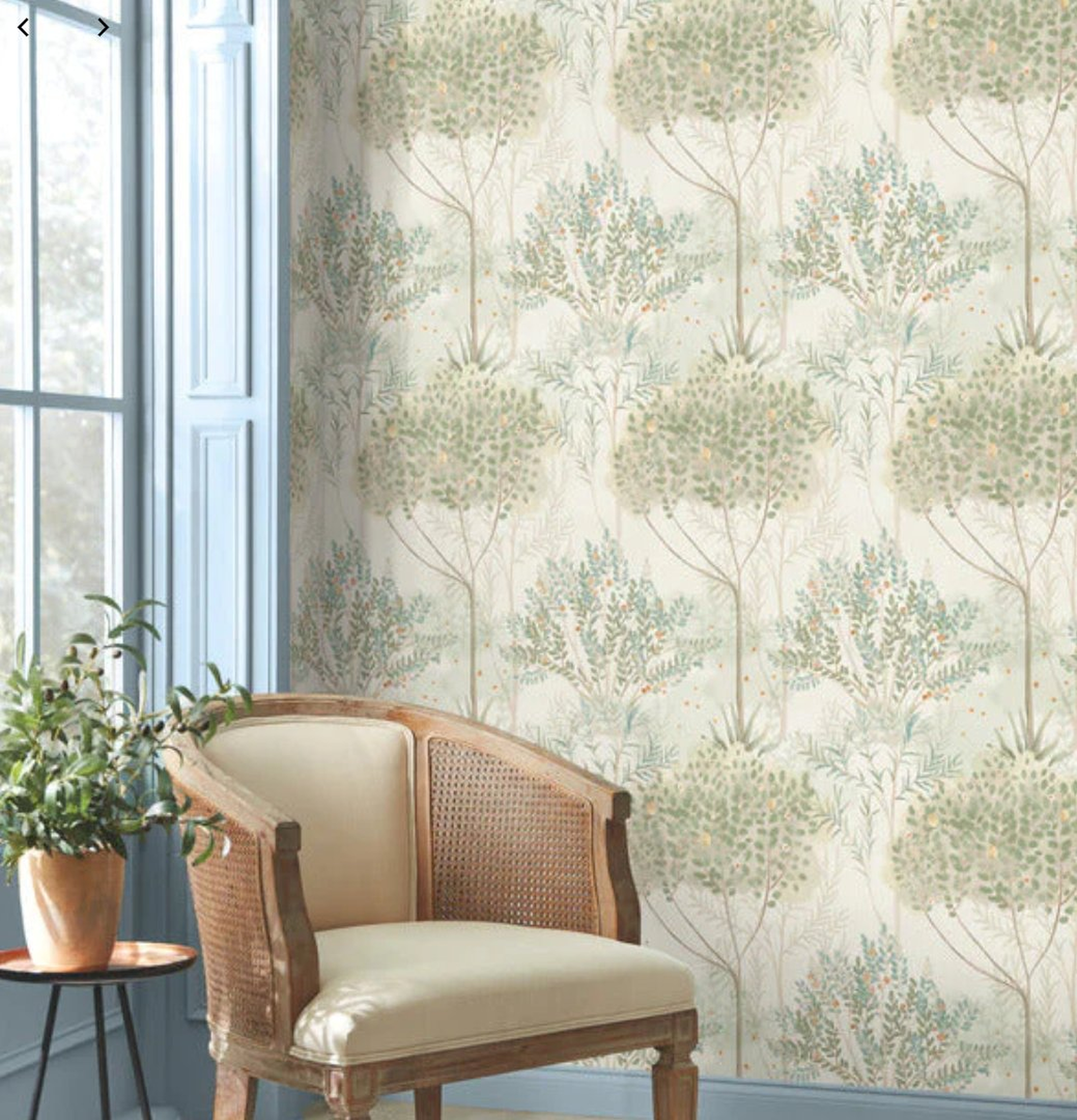 Orchard Wallpaper - York Wallcoverings