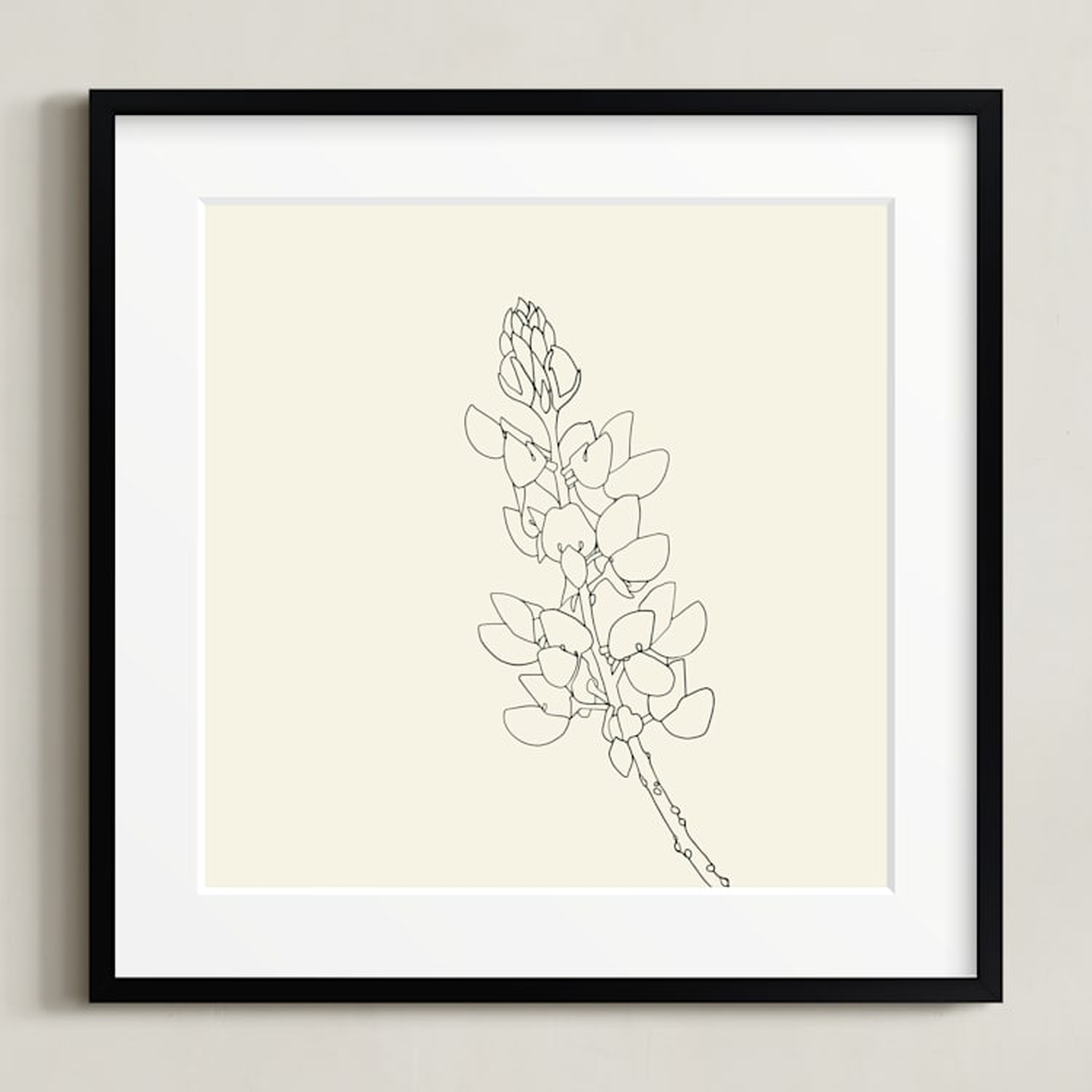 Lupine Limited Edition Fine Art Print 1 - Minted