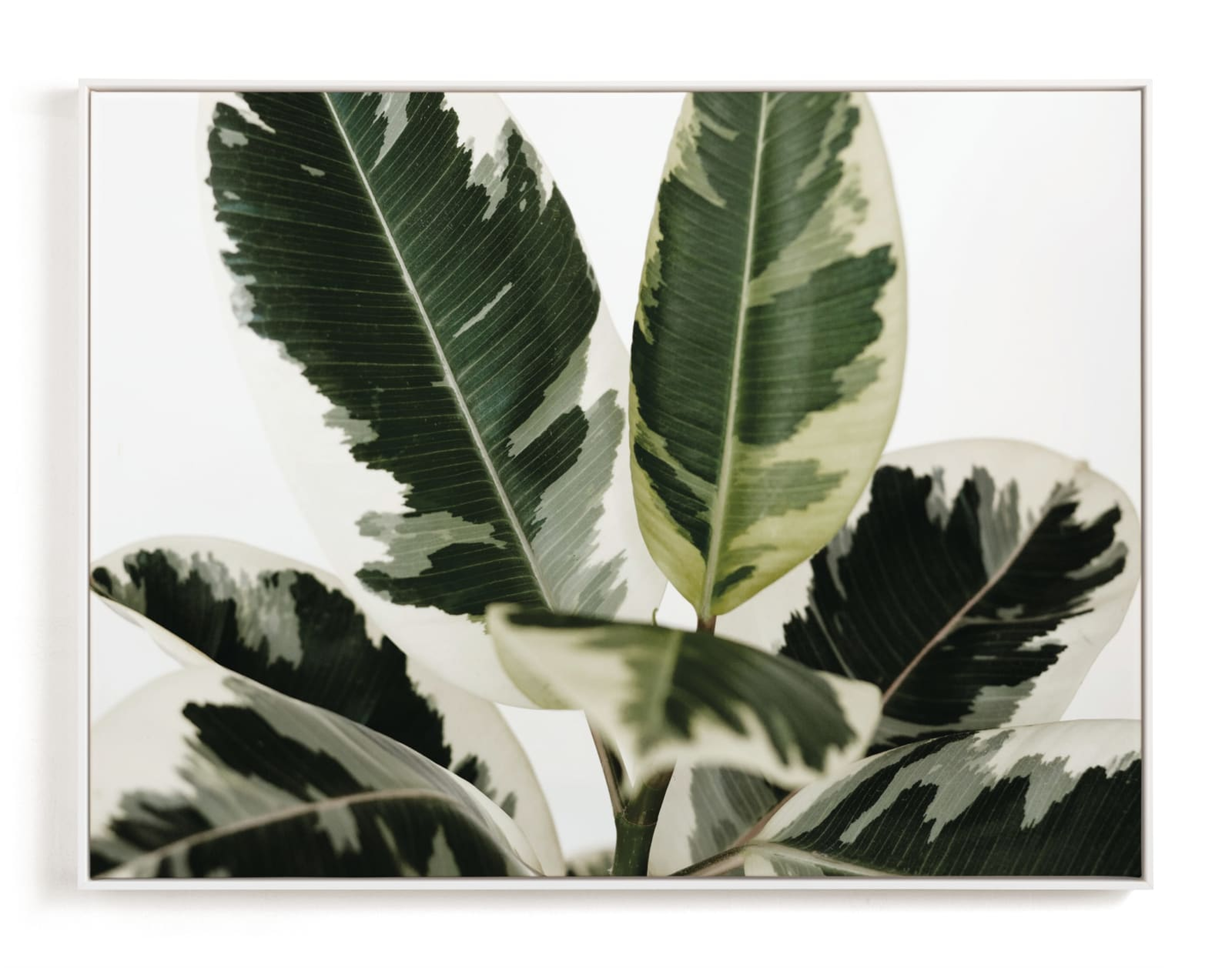 Diane Art Print - Minted