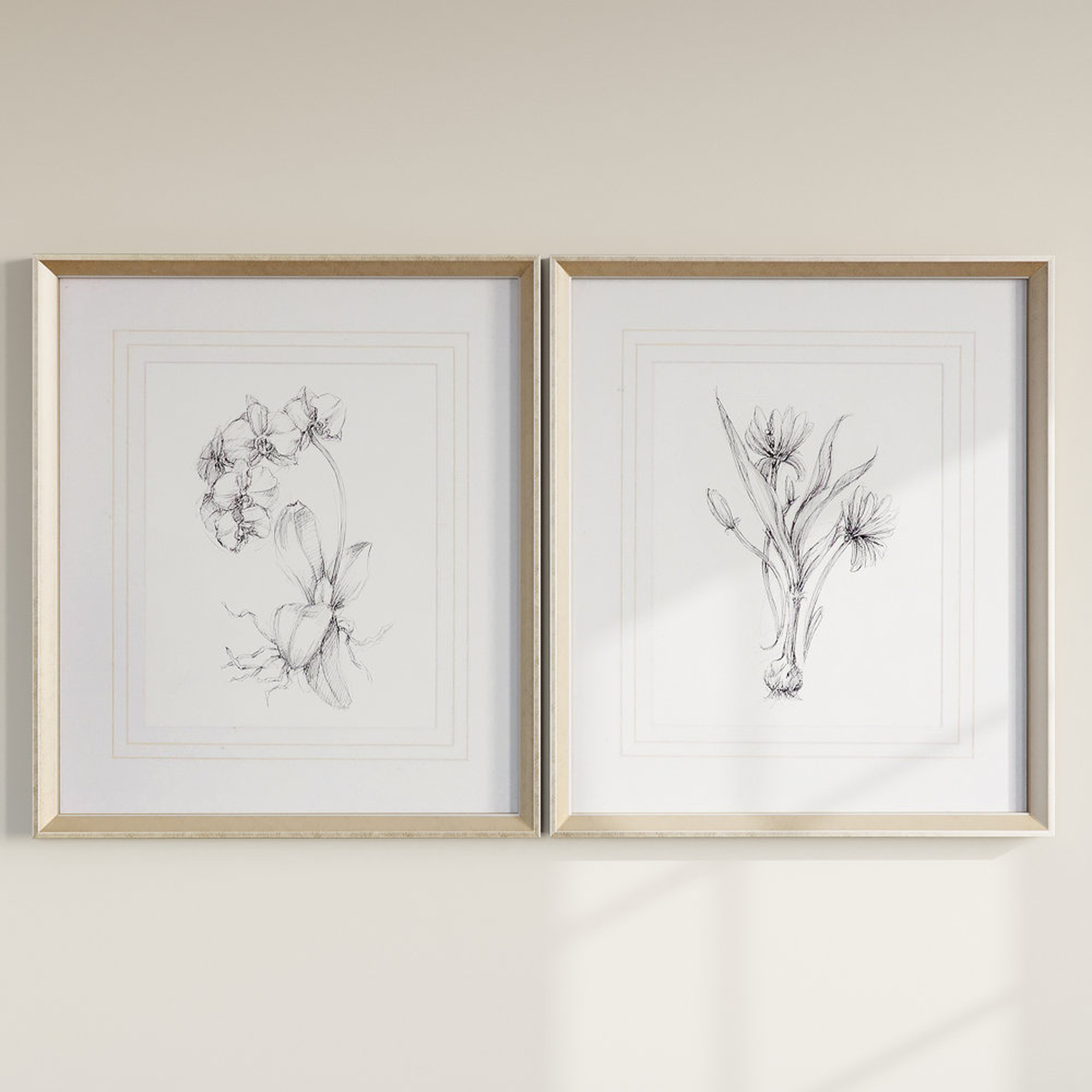 " Botanical Sketches " by Emma Scarvey 2 - Pieces - Wayfair