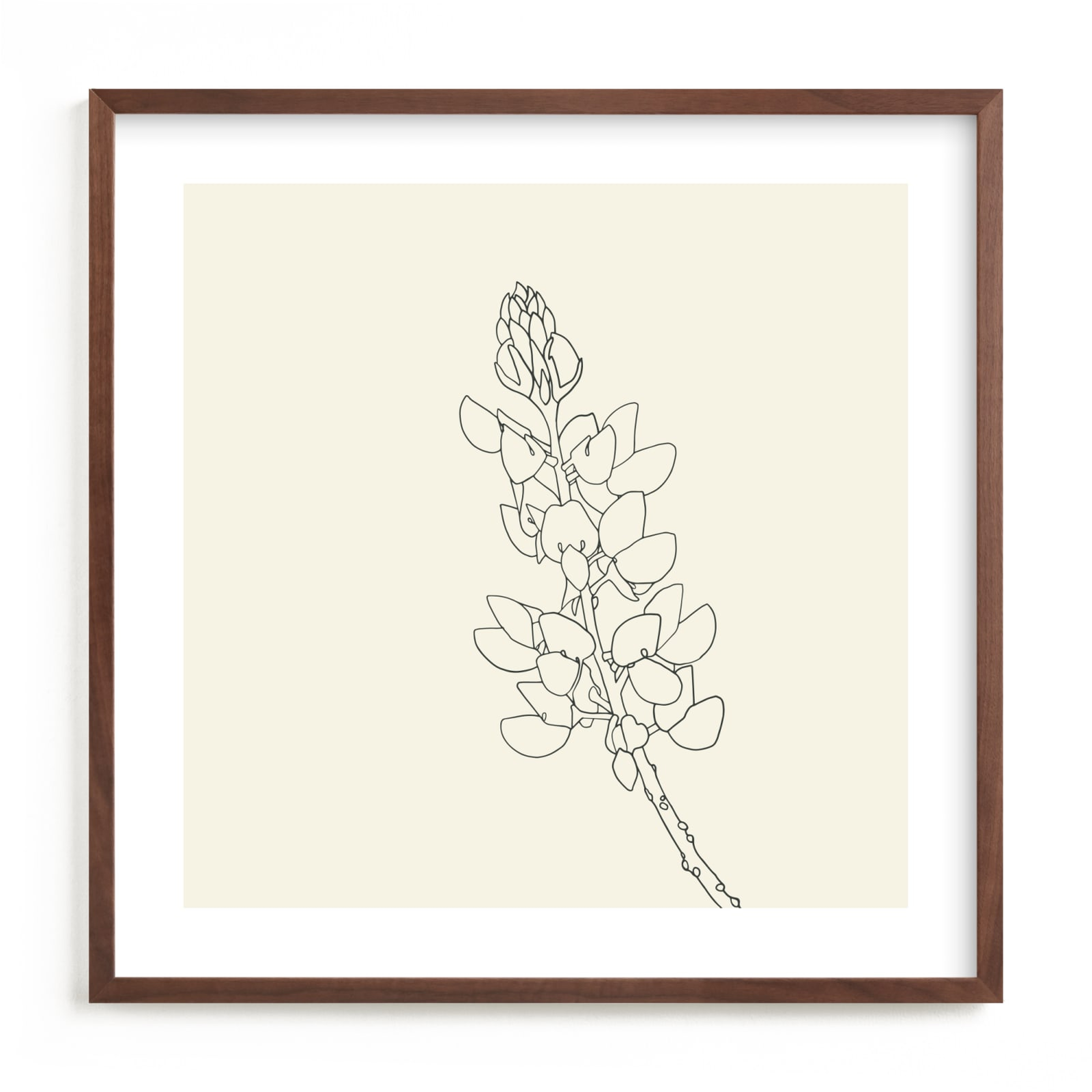 Lupine Art Print - Minted