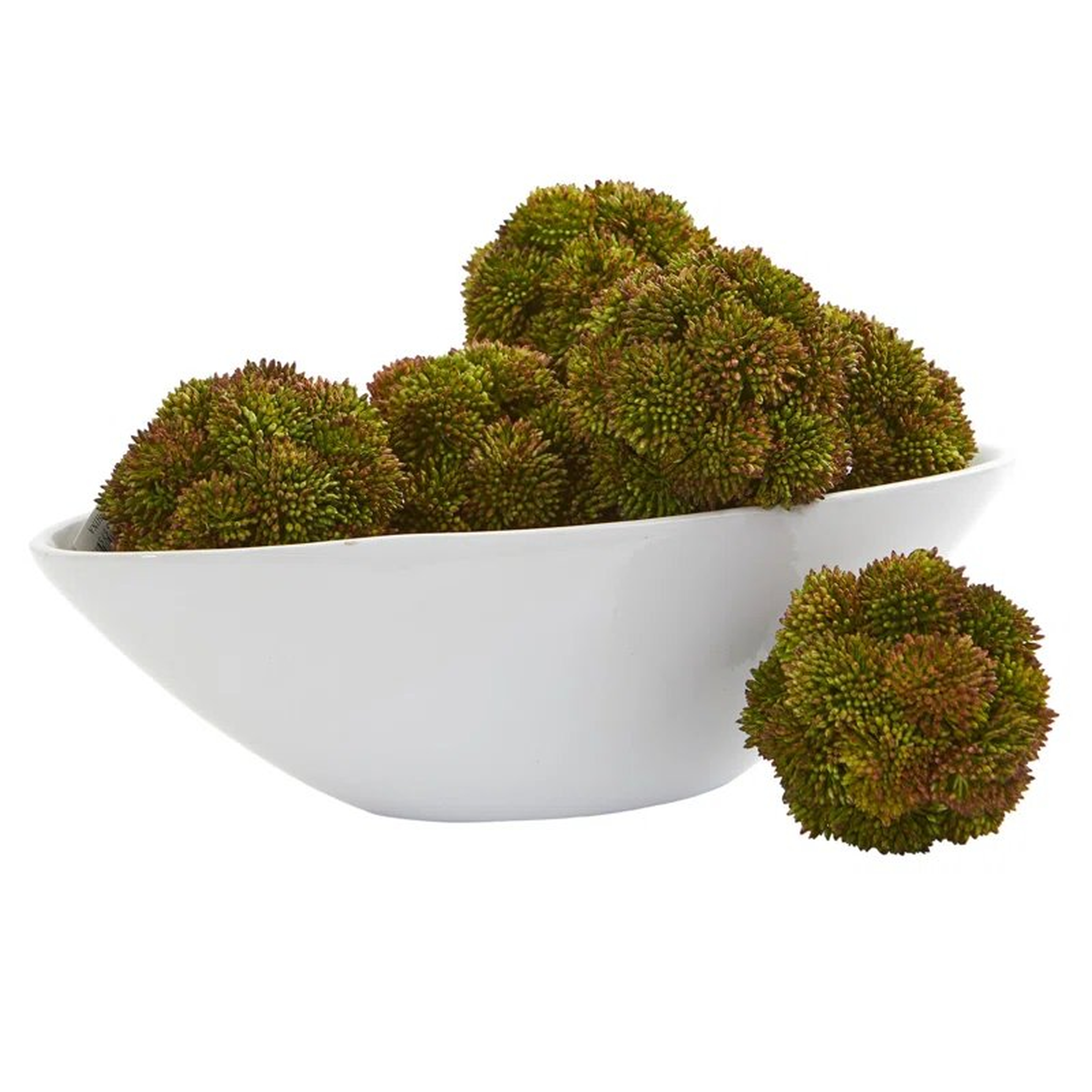 Sedum Spheres Desktop Succulent Topiary - Wayfair