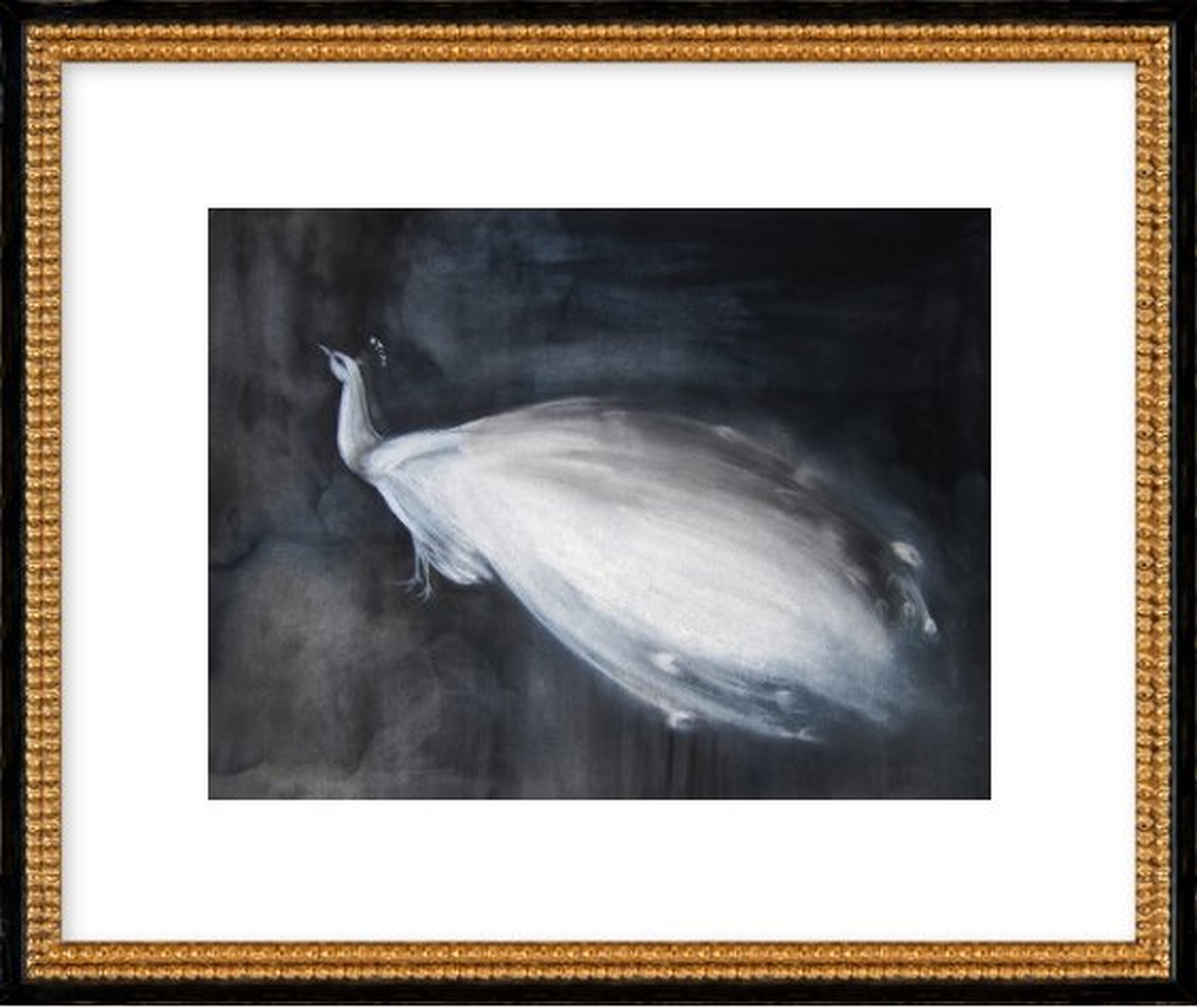 White Peacock by Christine Lindstrom for Artfully Walls - Artfully Walls