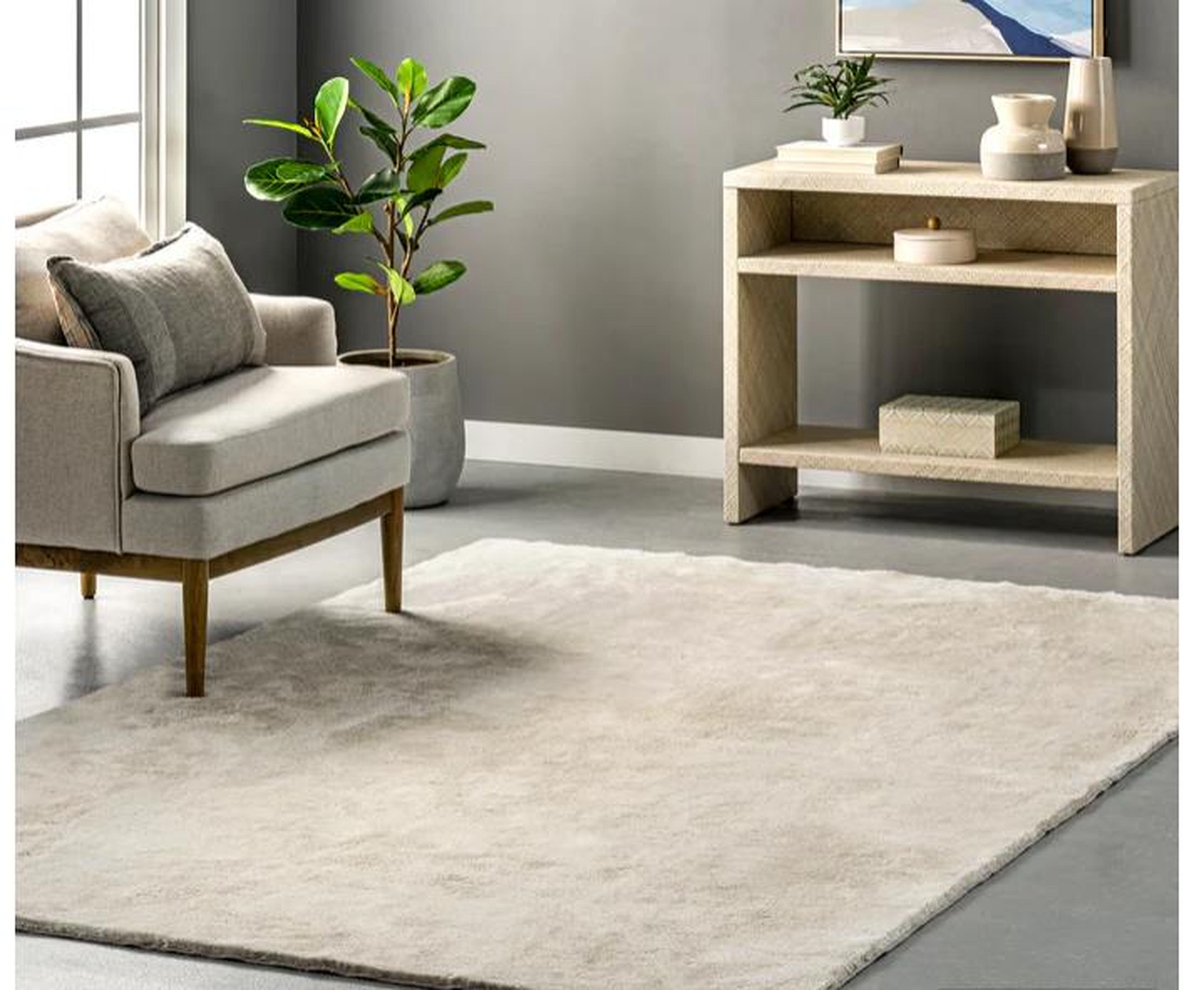 Loni Solid Machine Washable Shag Area Rug 6x9 - nuloom