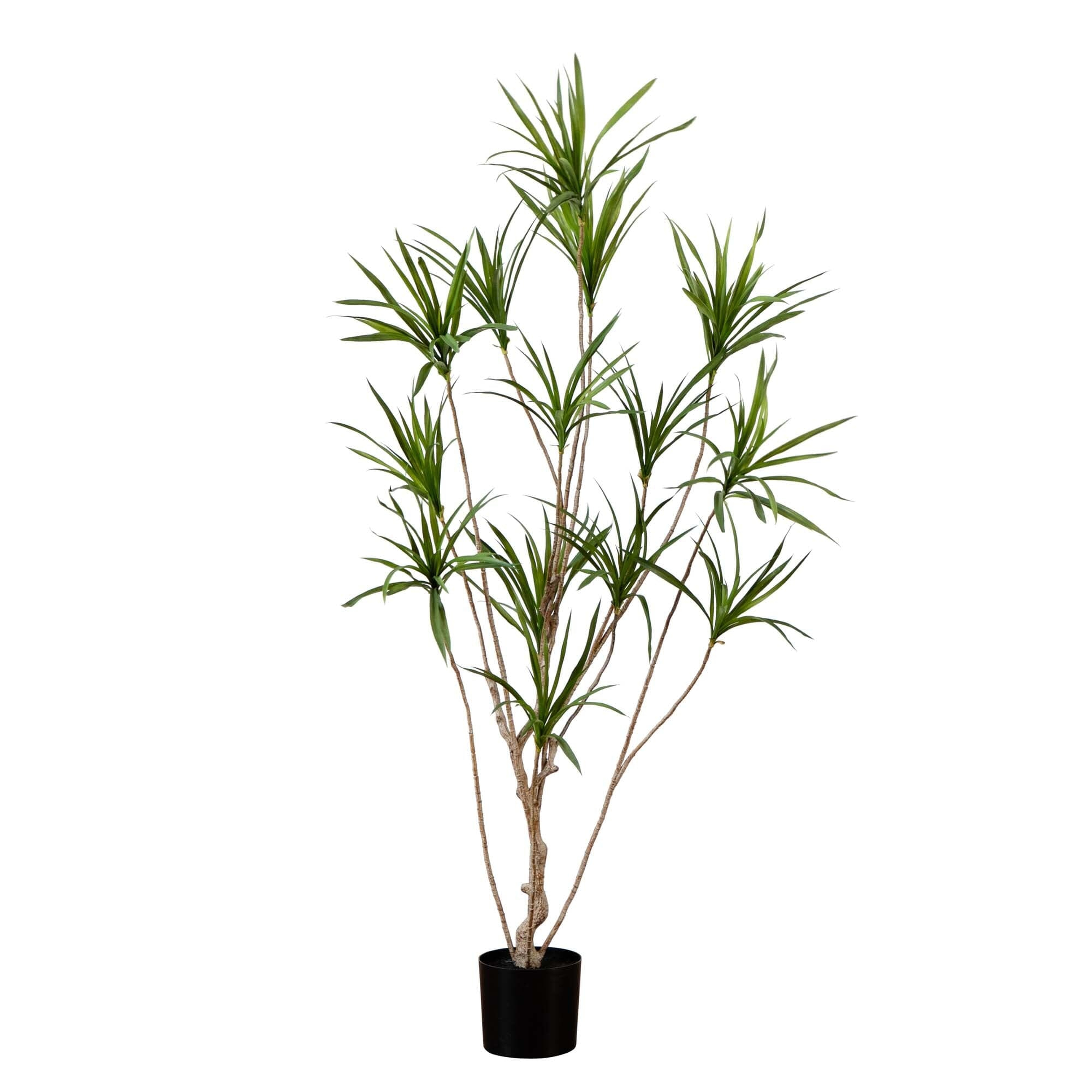 6’ Artificial Dracaena Tree - Nearly Natural
