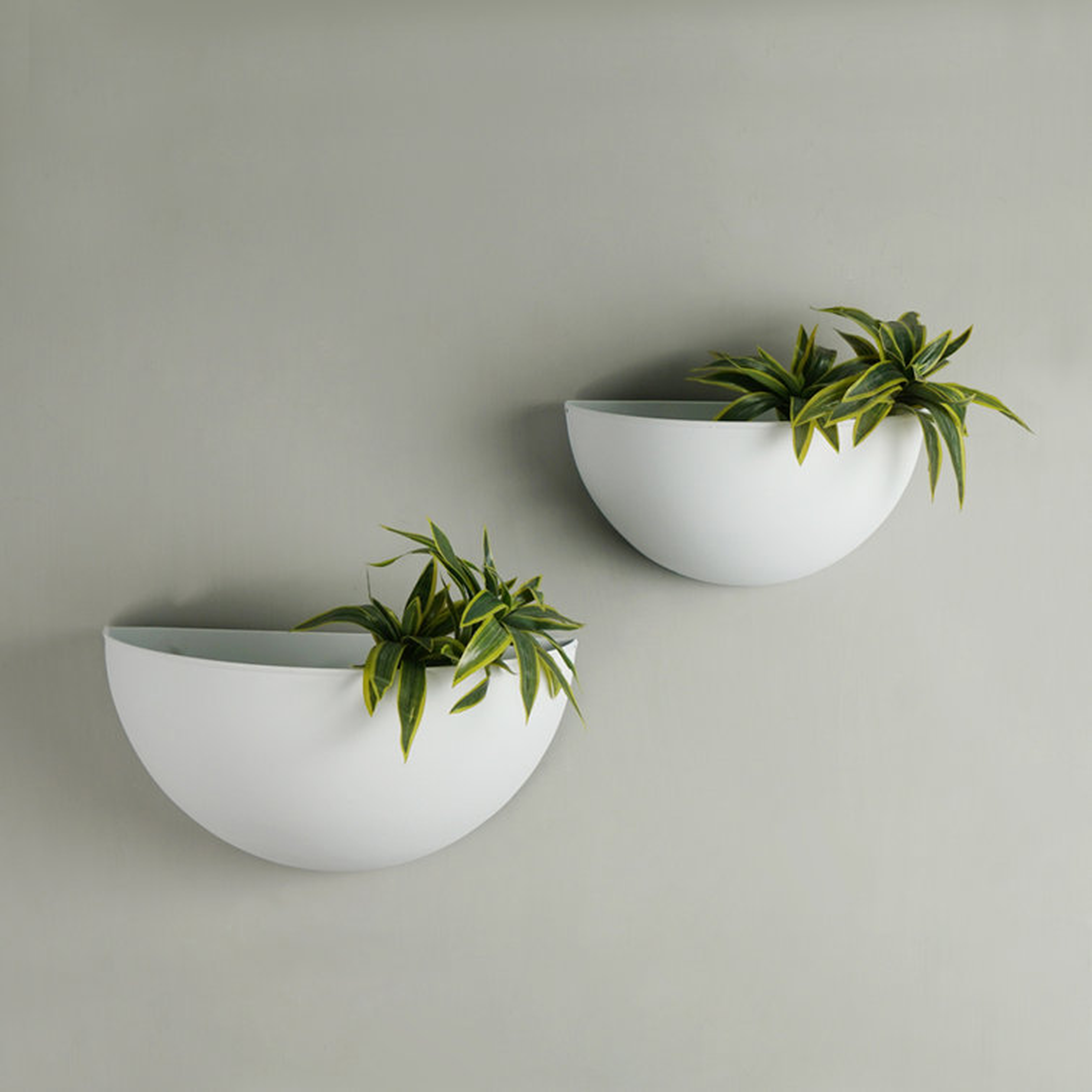 Hermansdorfer 2-Piece Wall Planter Set - Wayfair