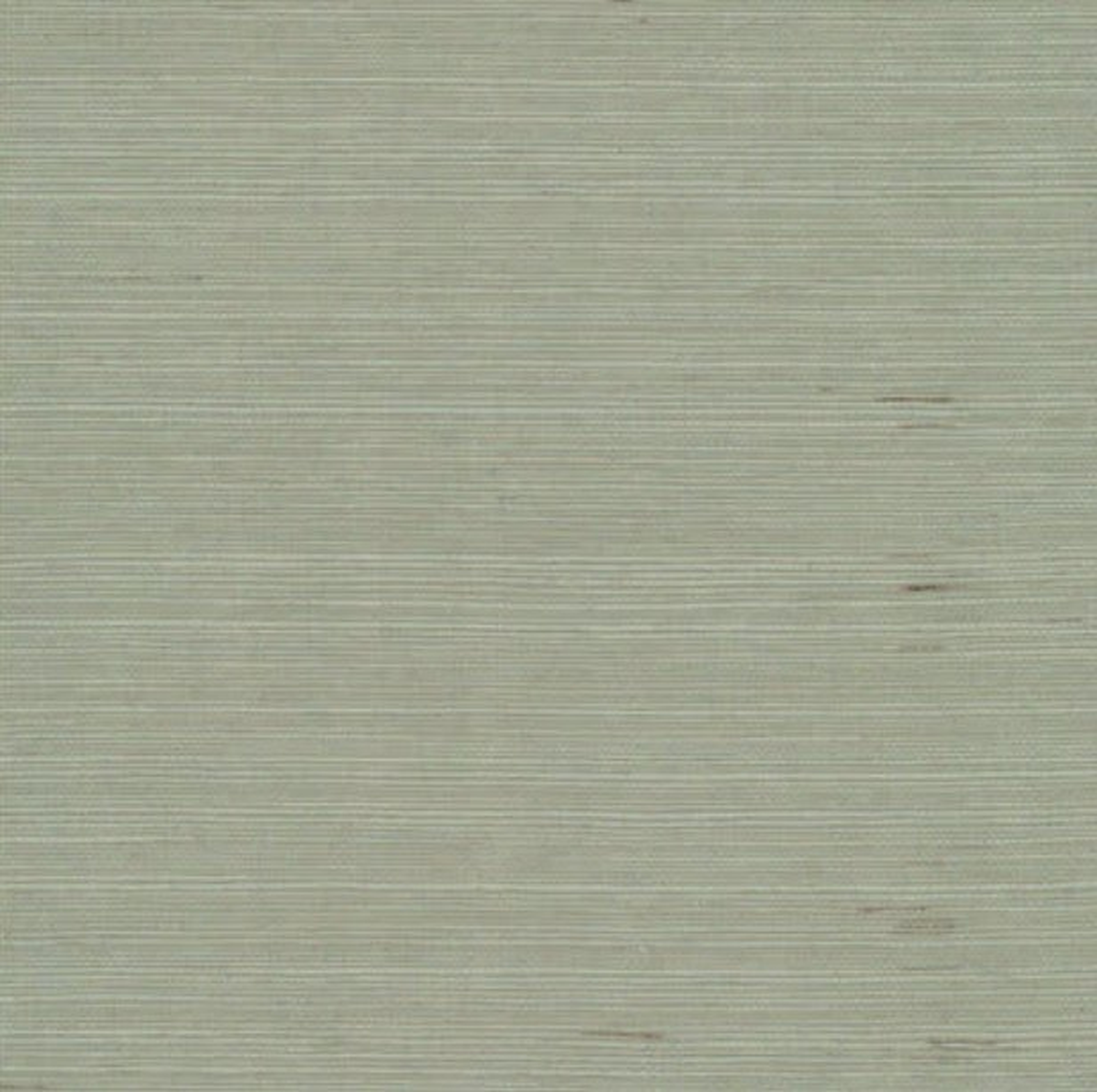 Plain Sisals DL2941 - York Wallcoverings