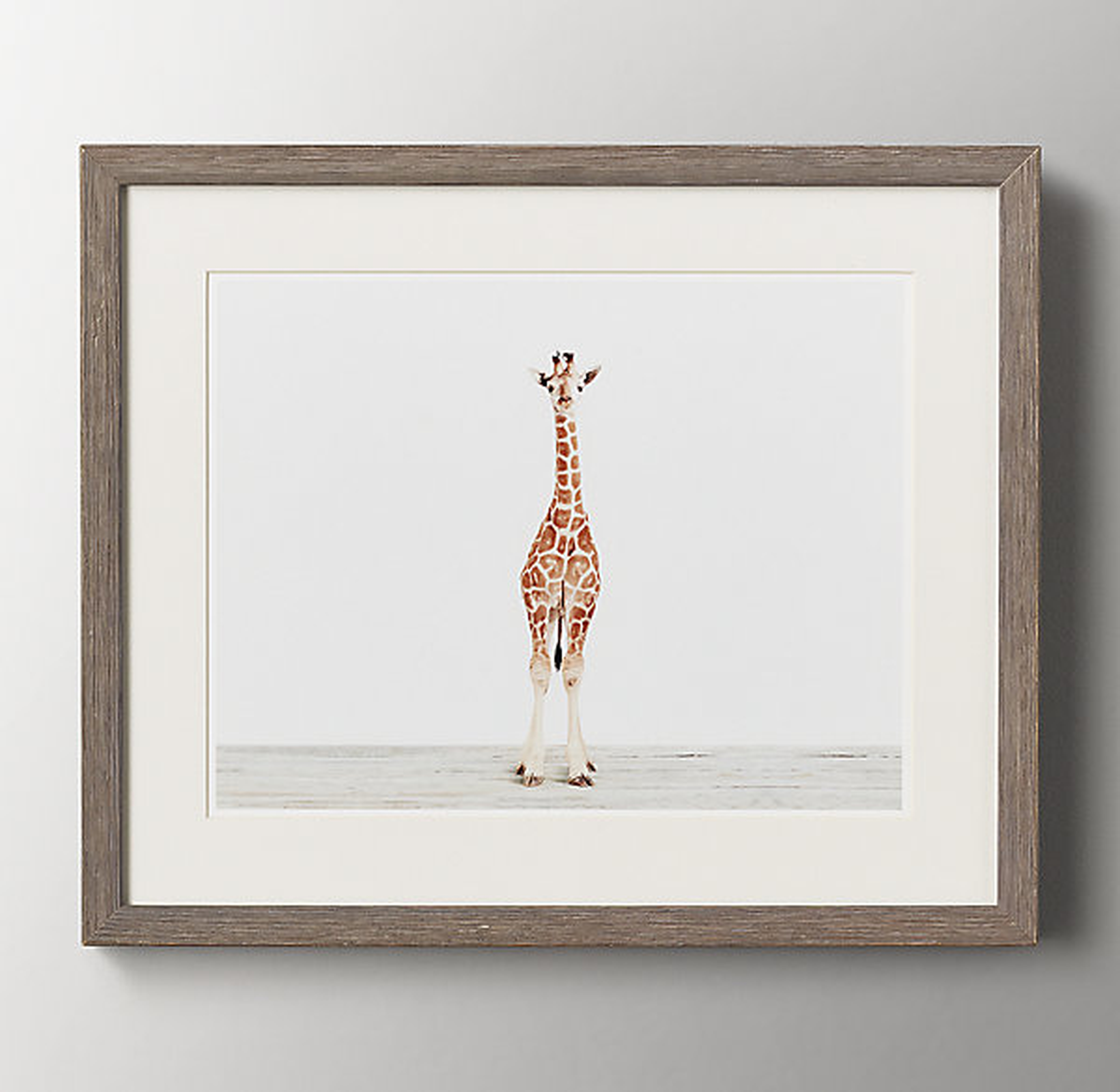 Baby Animal Portrait - Giraffe - 16" x 13" - Framed - RH Baby & Child