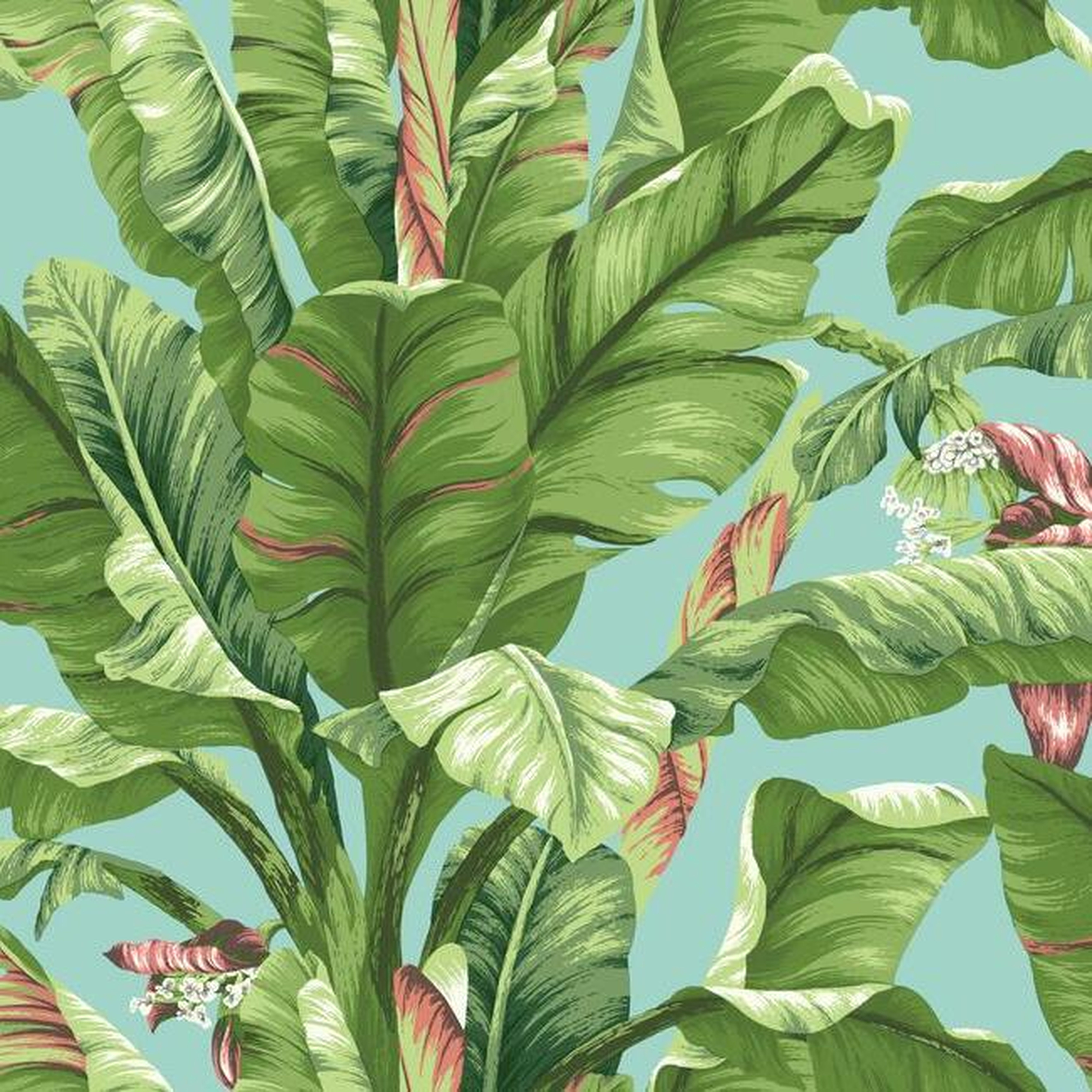 Banana Leaf Wallpaper - York Wallcoverings