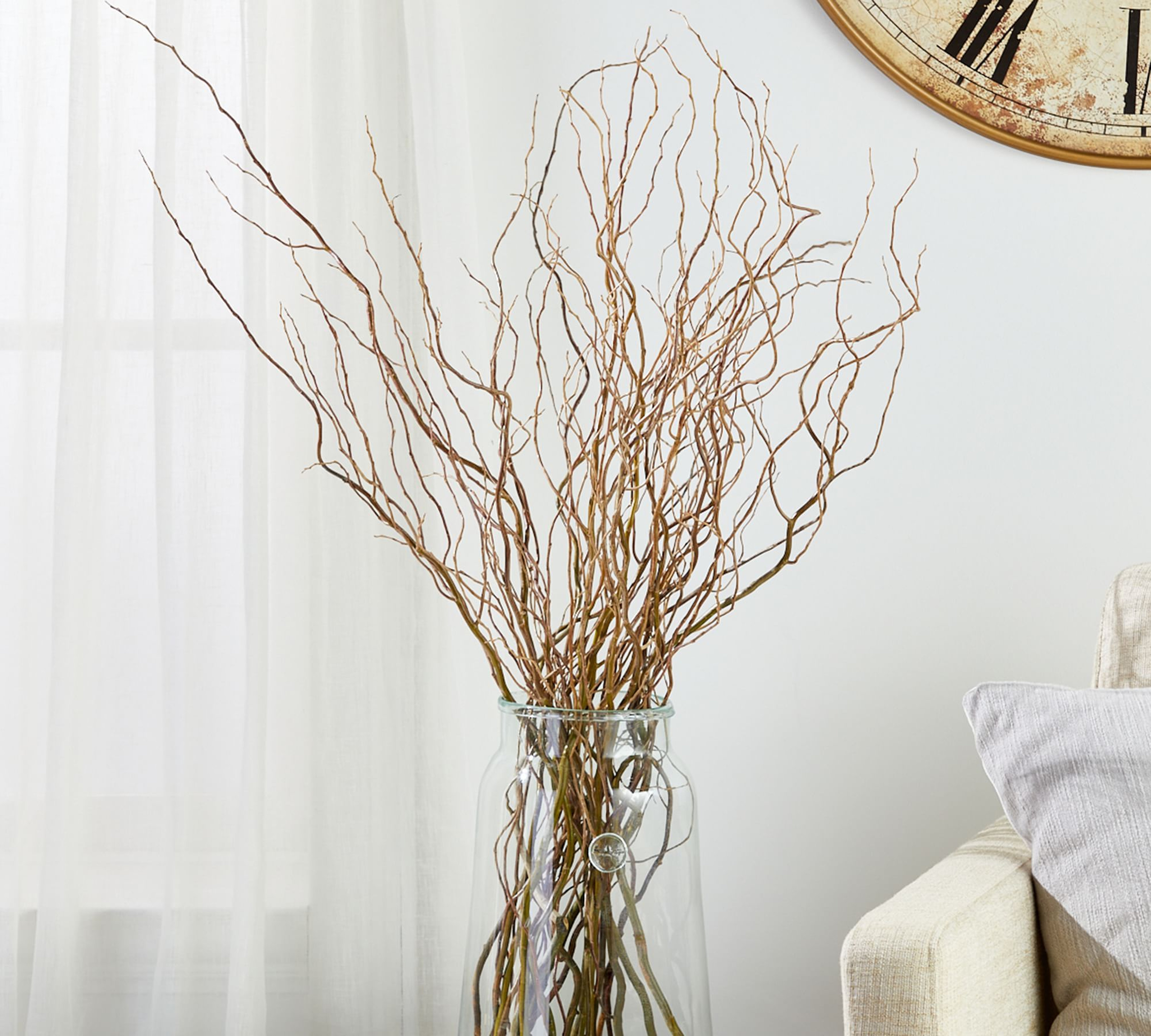 Live Curly Willow Branches, 3 Bunches - Pottery Barn