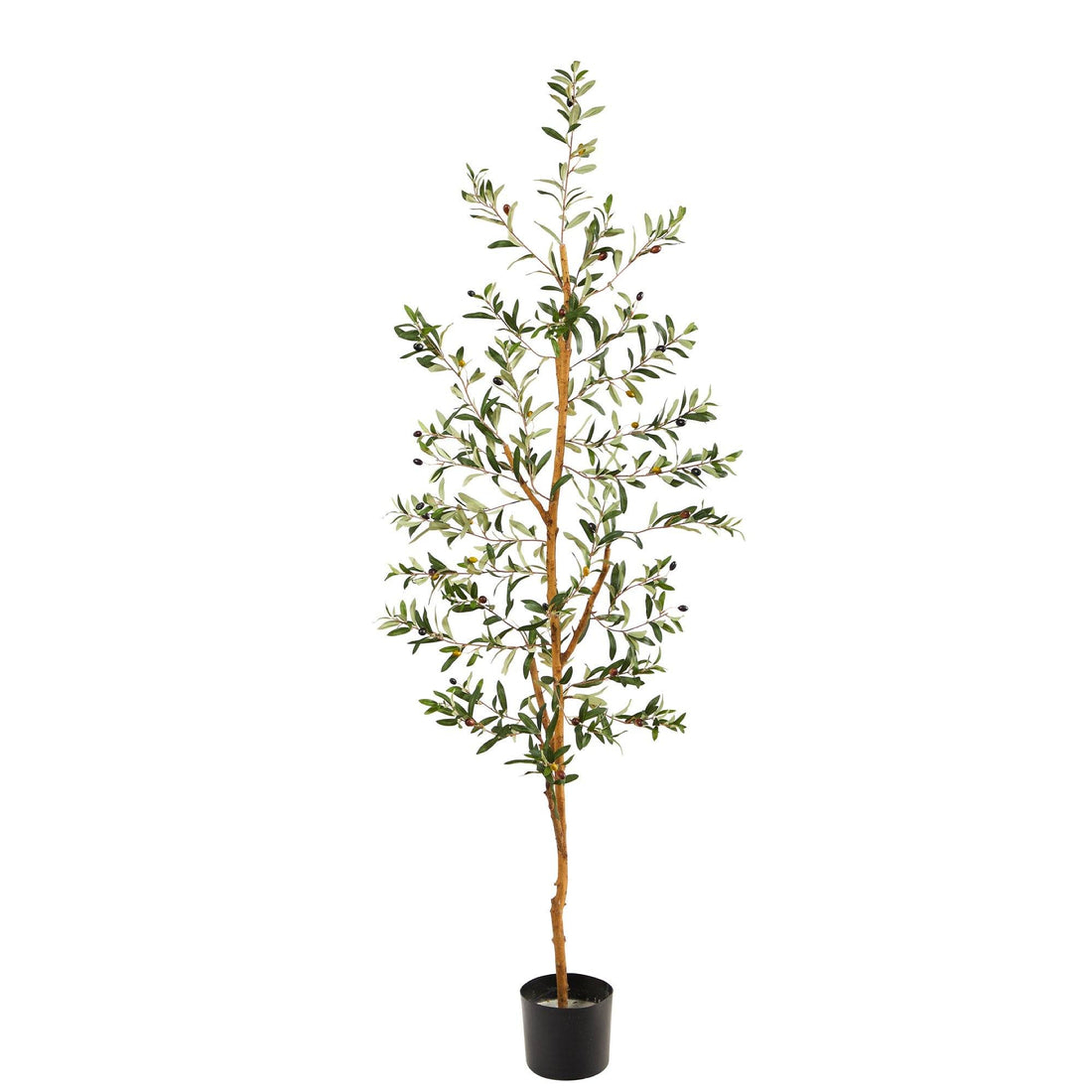 5.5’ Olive Artificial Tree - Nearly Natural