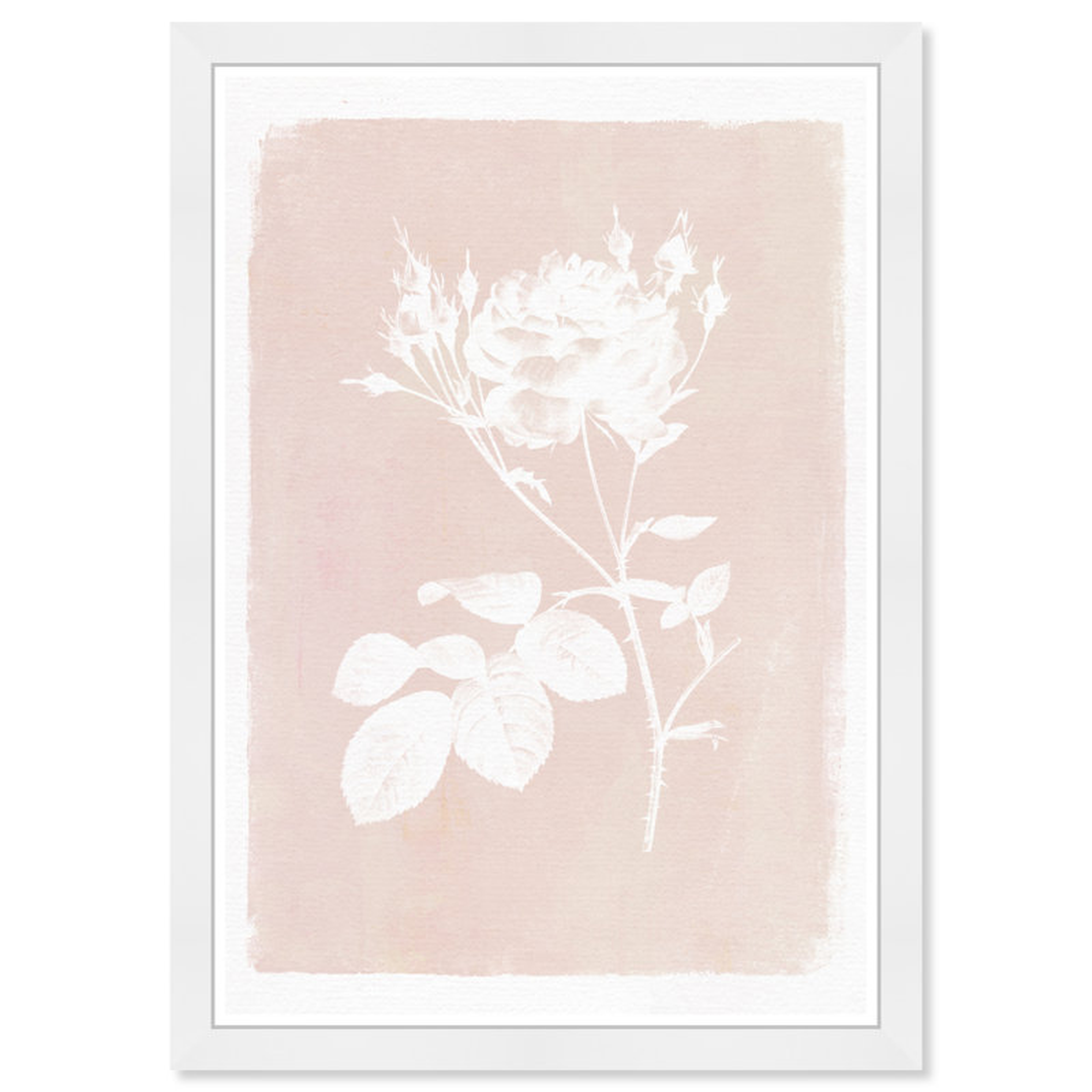 Botanical Illustration Iii Framed Art - Wayfair