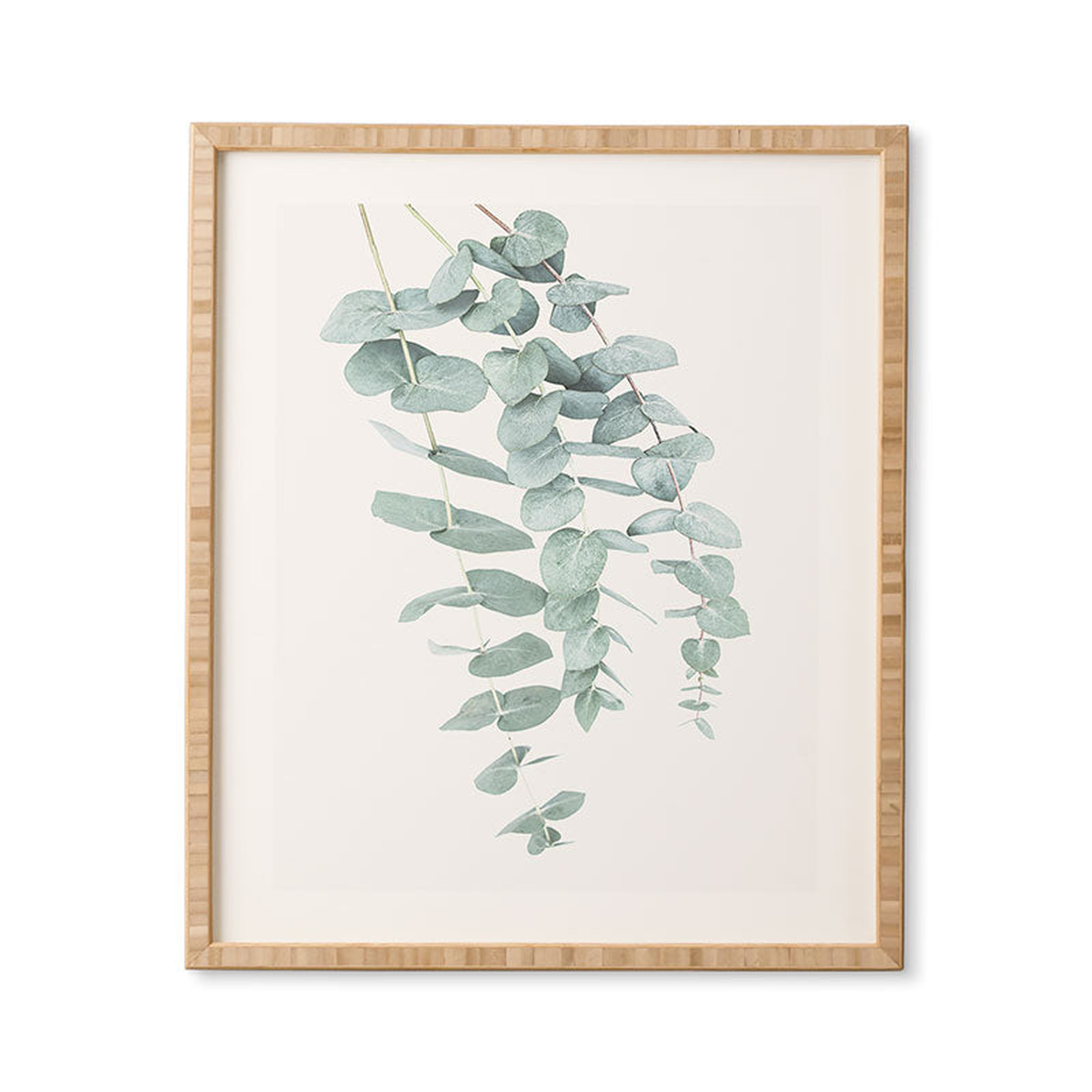 Mint Eucalyptus Ii by Sisi and Seb - Framed Wall Art Bamboo 19" x 22.4" - Deny Designs