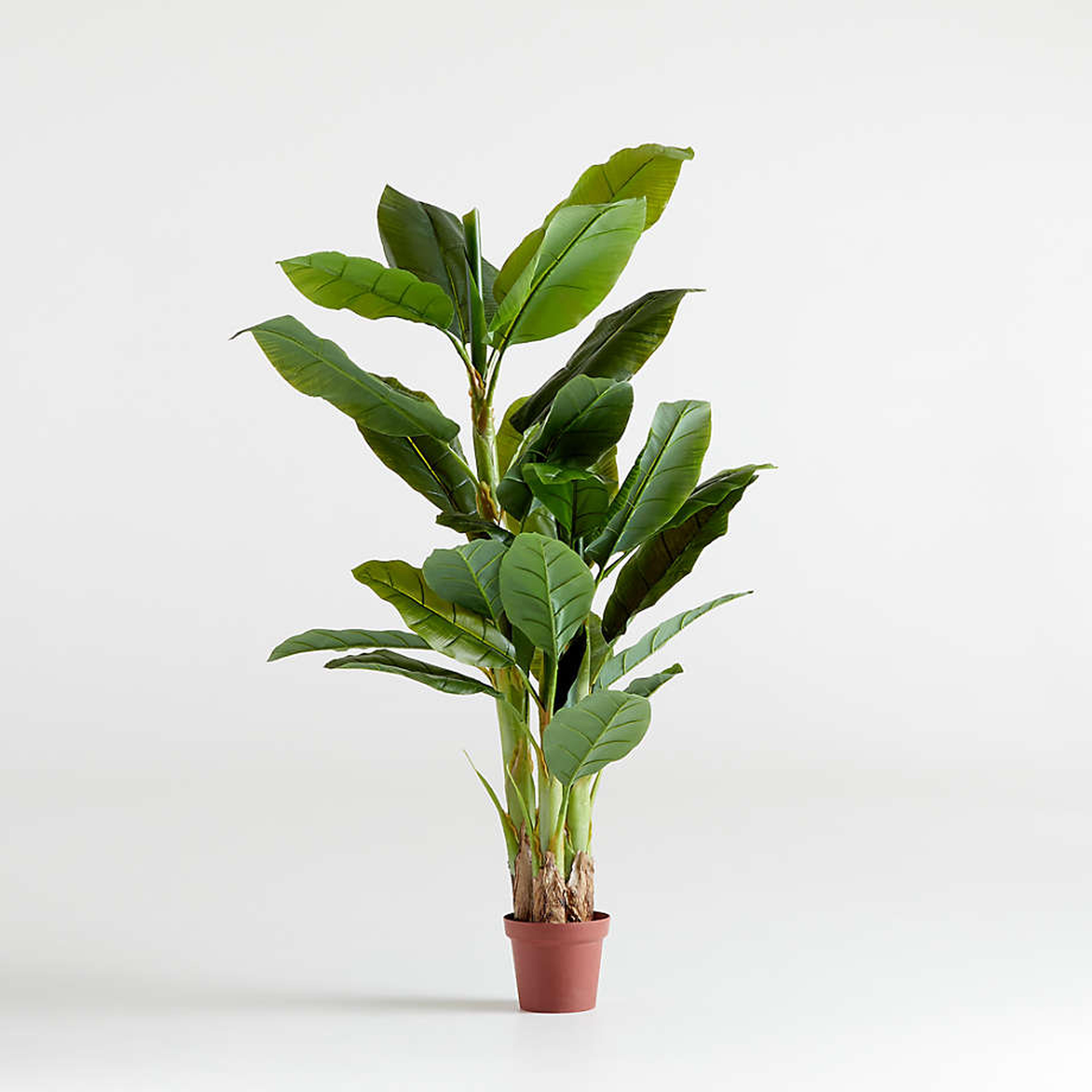 Artificial Banana Tree - Crate and Barrel