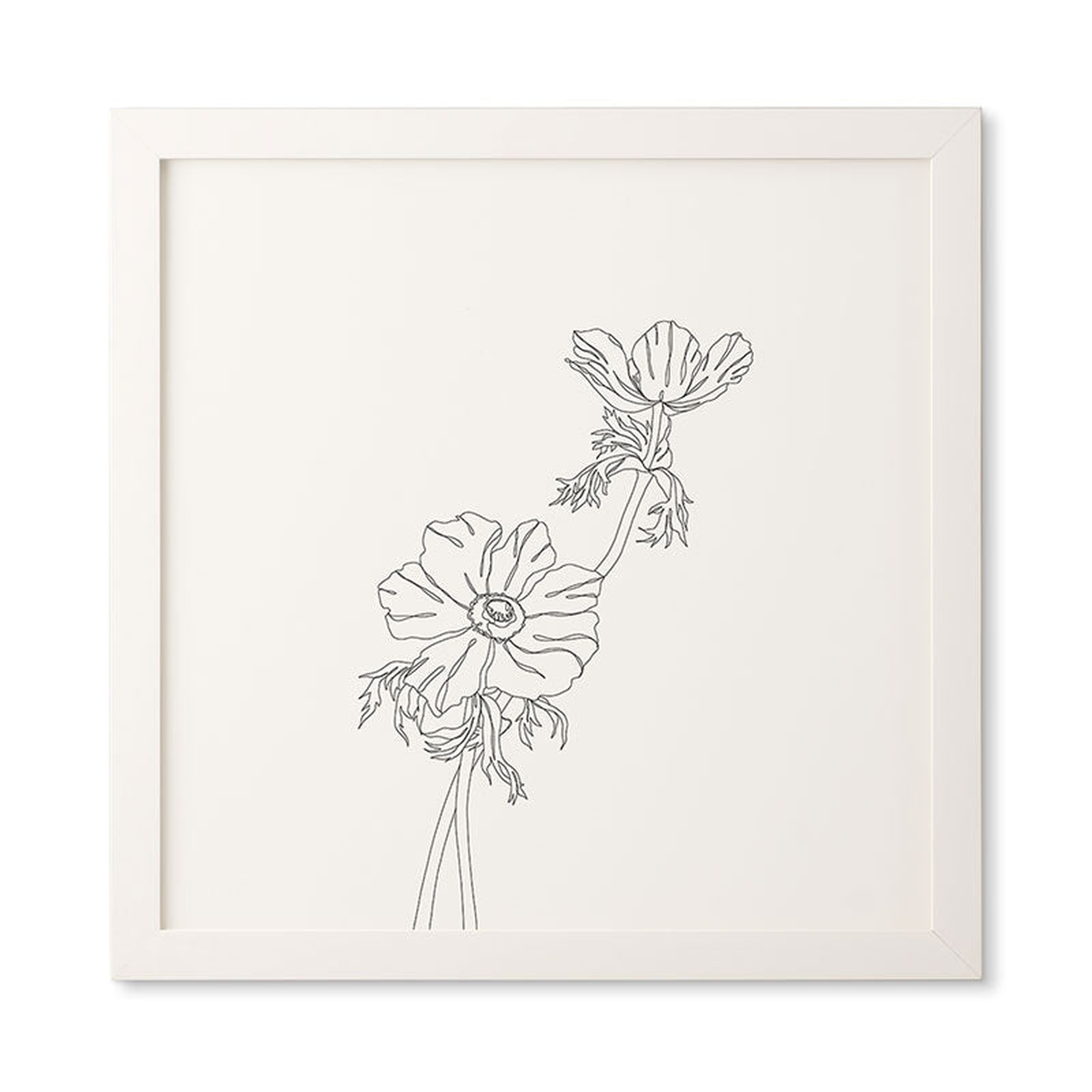 Botanical Illustration Joan by The Colour Study - Framed Wall Art Basic White 20" x 20" - Wander Print Co.