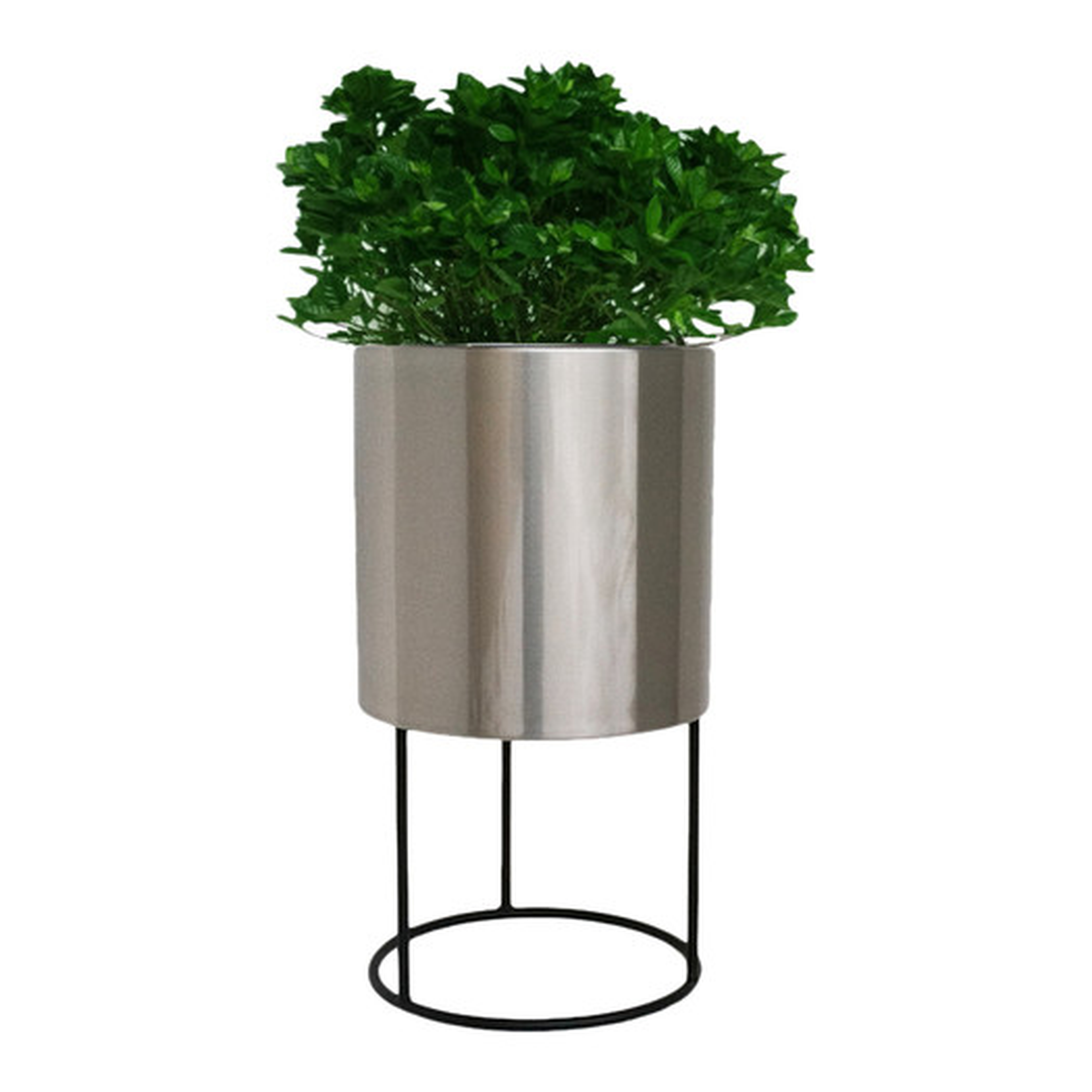 Knox Round Pot Planter - Medium - AllModern