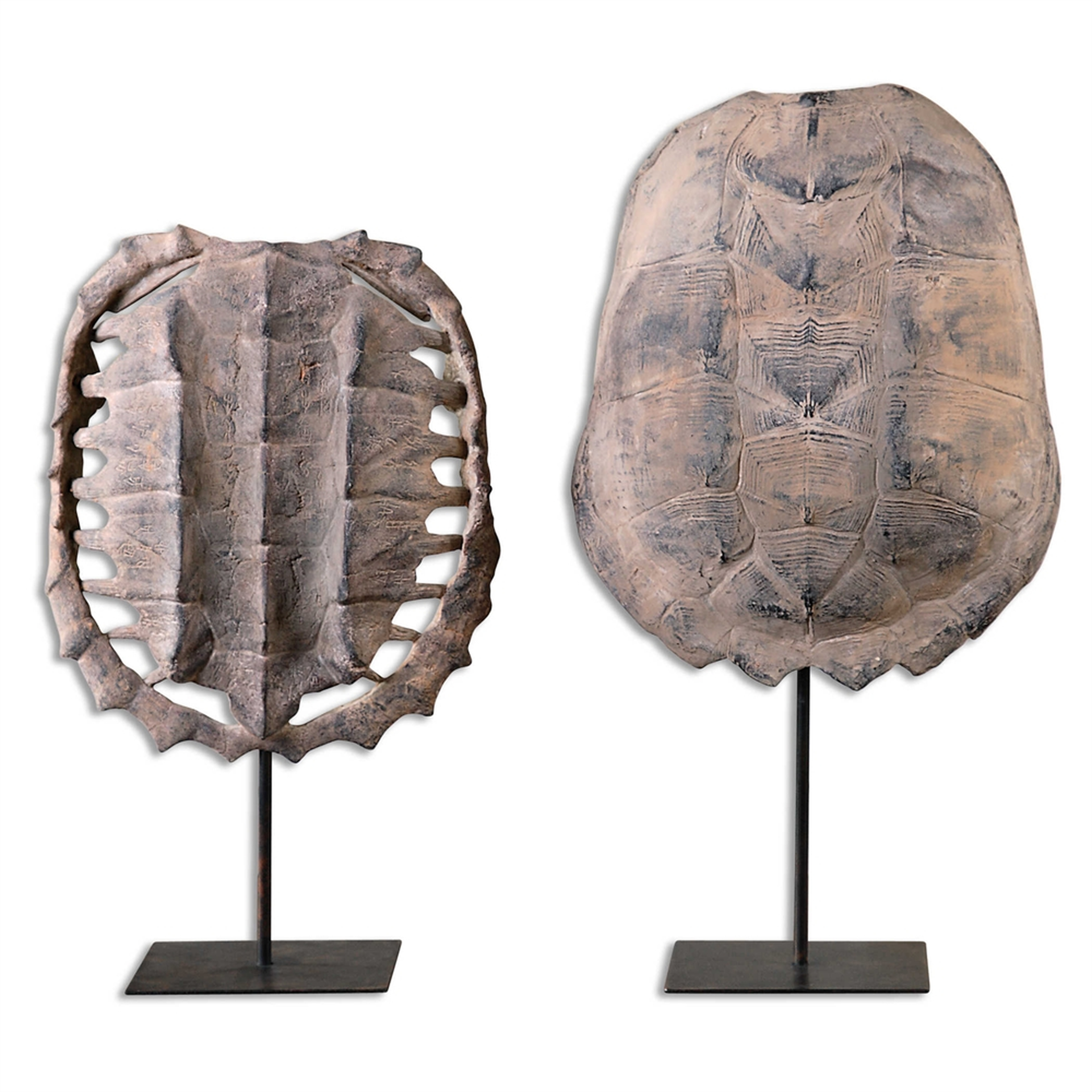 Turtle Shells - Uttermost