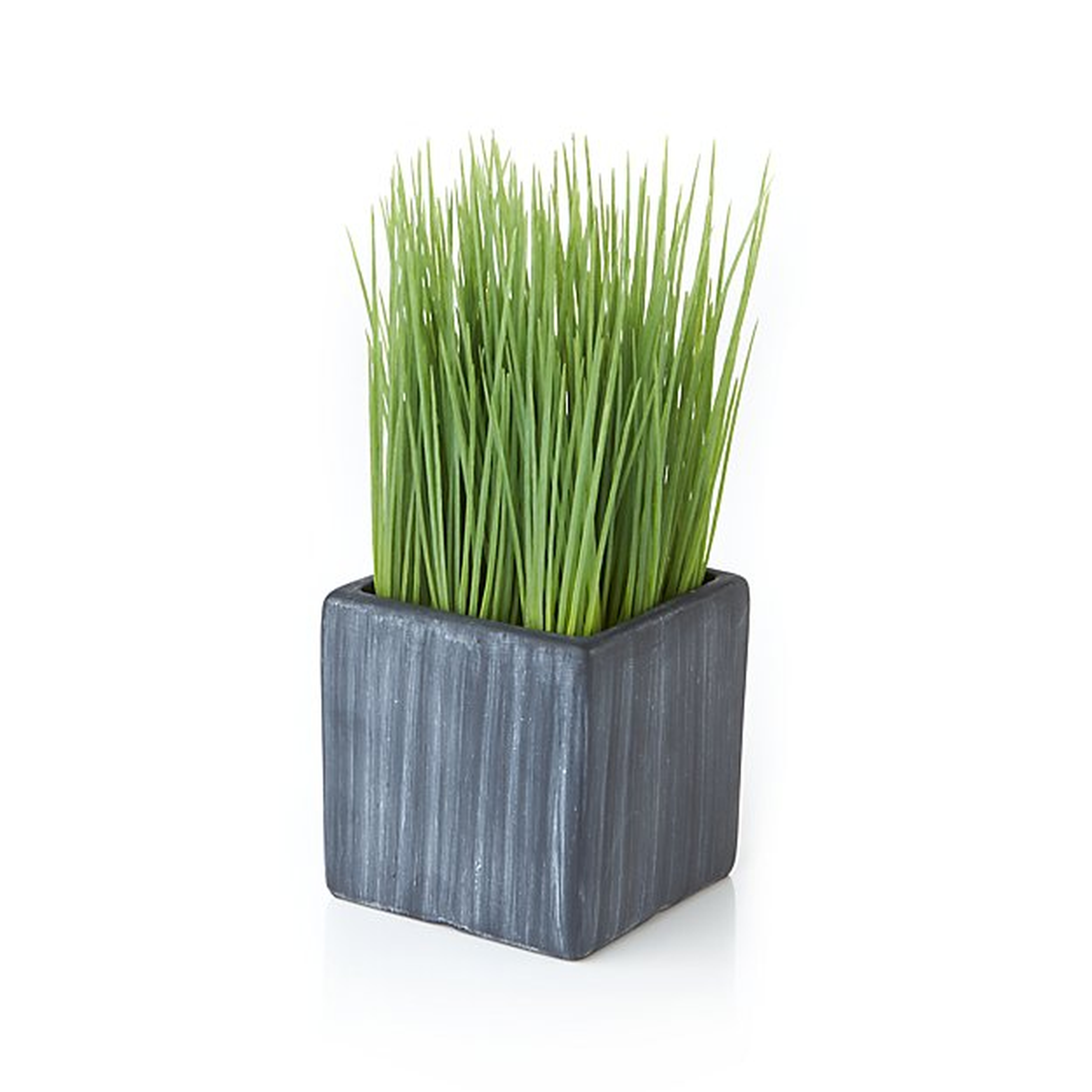 Mini Potted Artificial Grass - Crate and Barrel