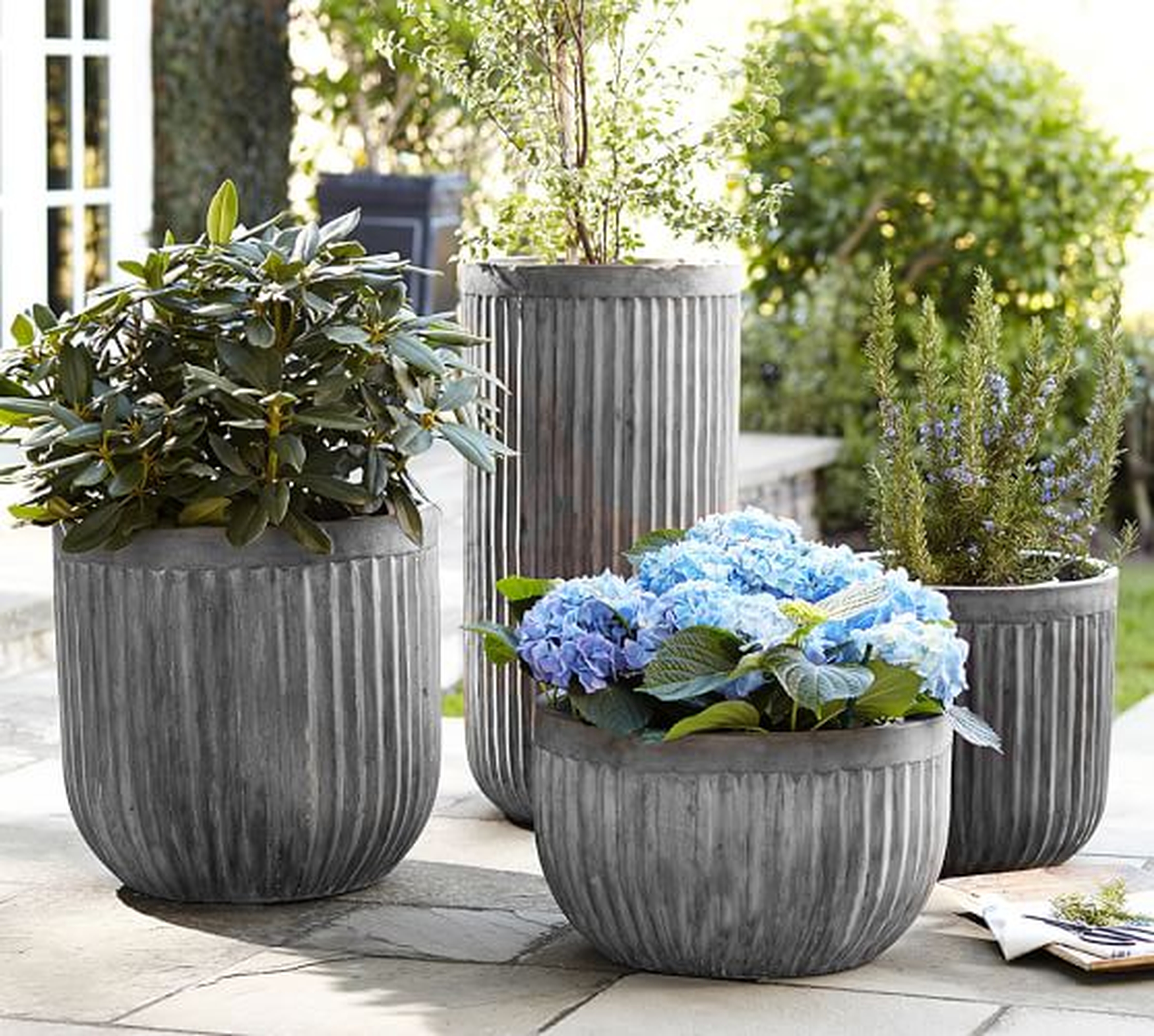 Concrete Fluted Planters - Pottery Barn