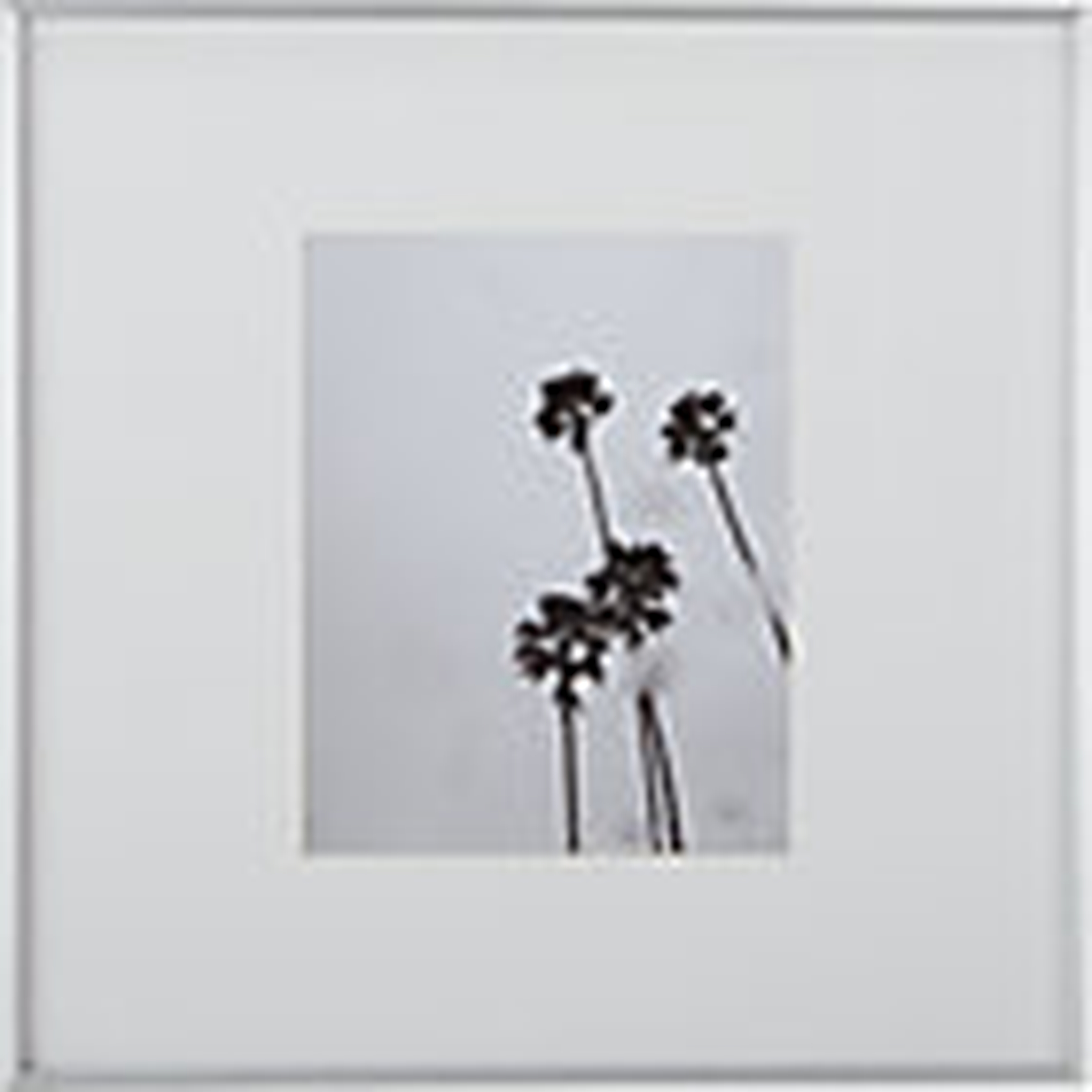 gallery picture frames - CB2