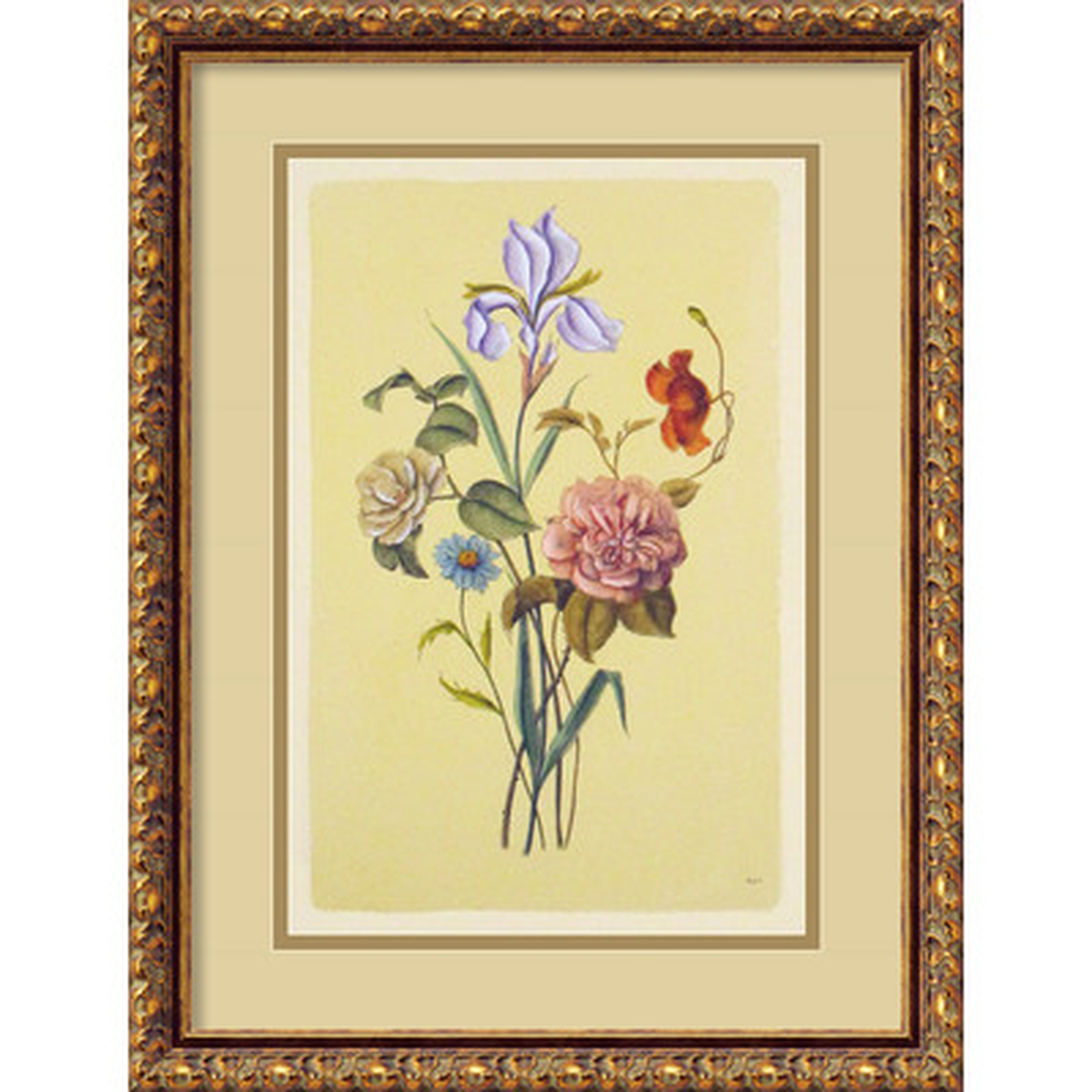 Botanical Bouquet V Italian Engraving Framed Painting Print - Wayfair