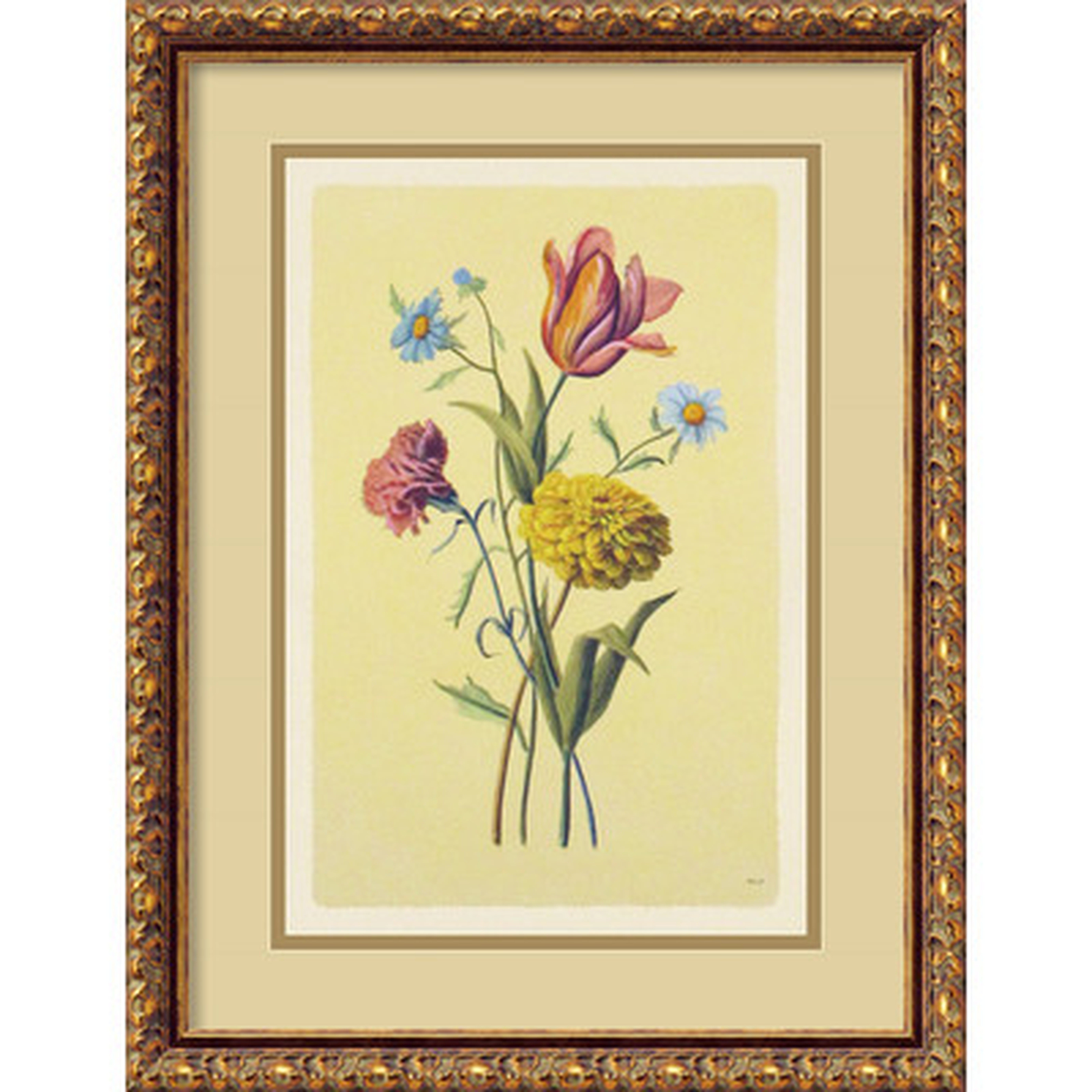 Botanical Bouquet II Framed Painting Print - Wayfair