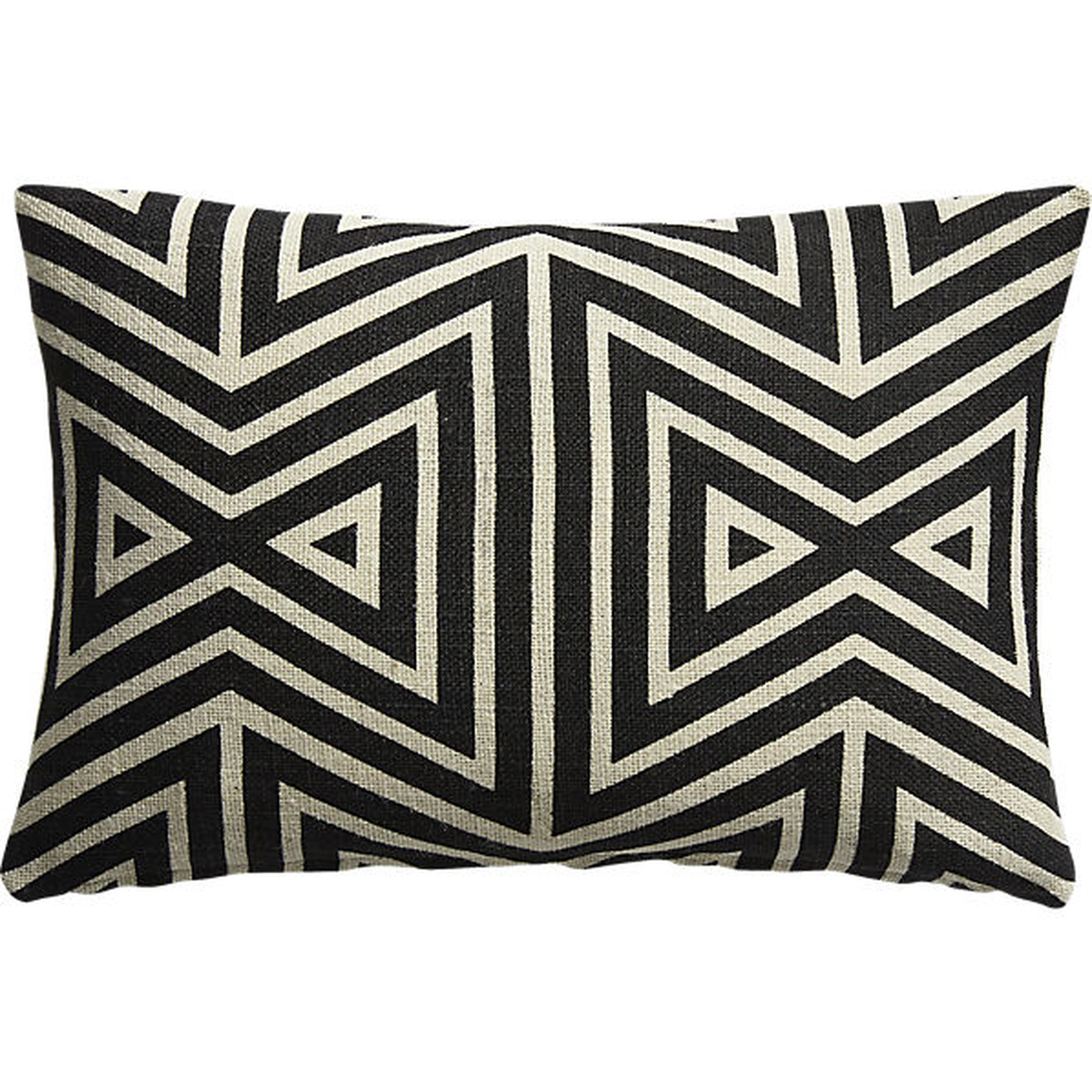 Apani 18"x12" pillow with feather-down insert - CB2