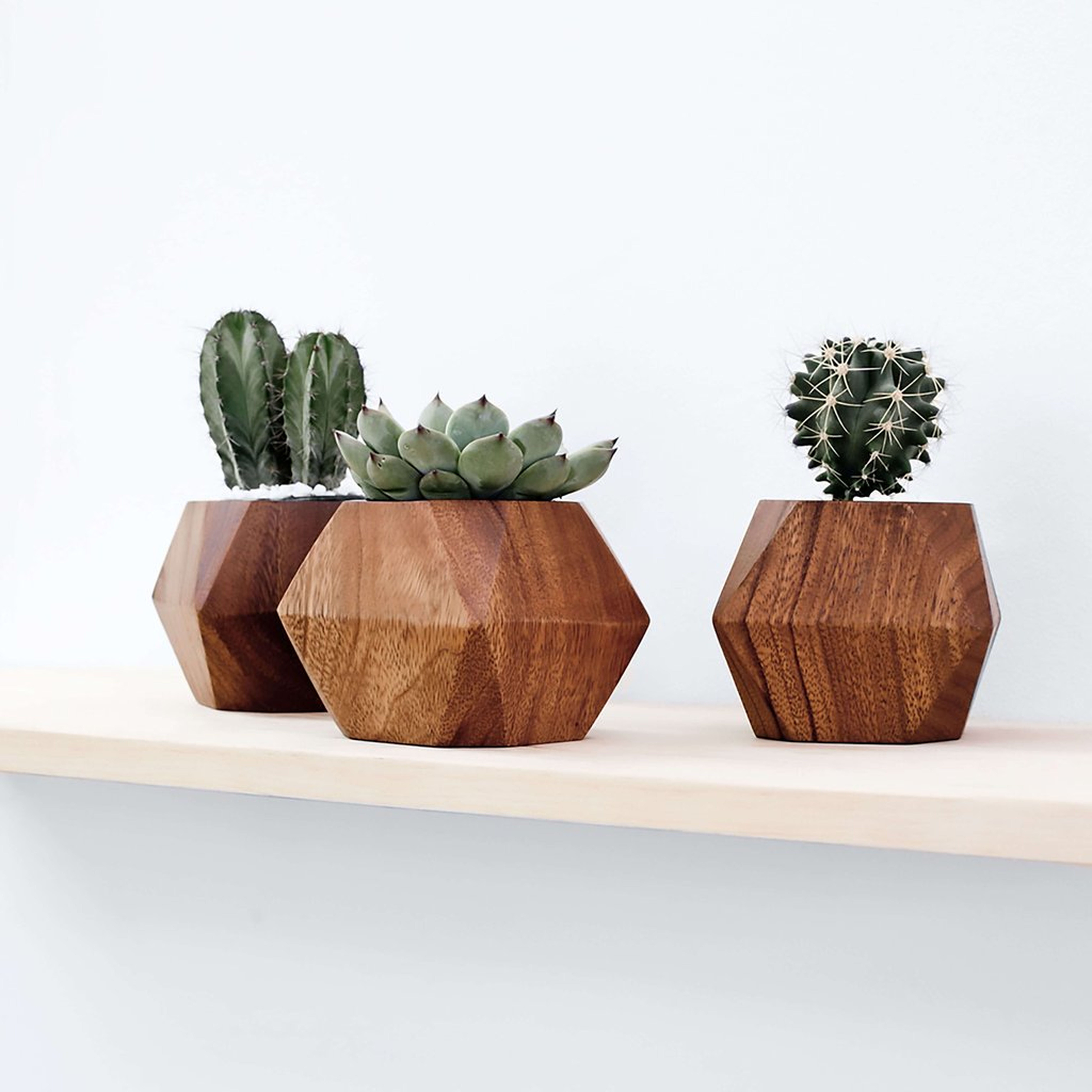 ADIA PLANTER - Set of 3 - The Citizenry