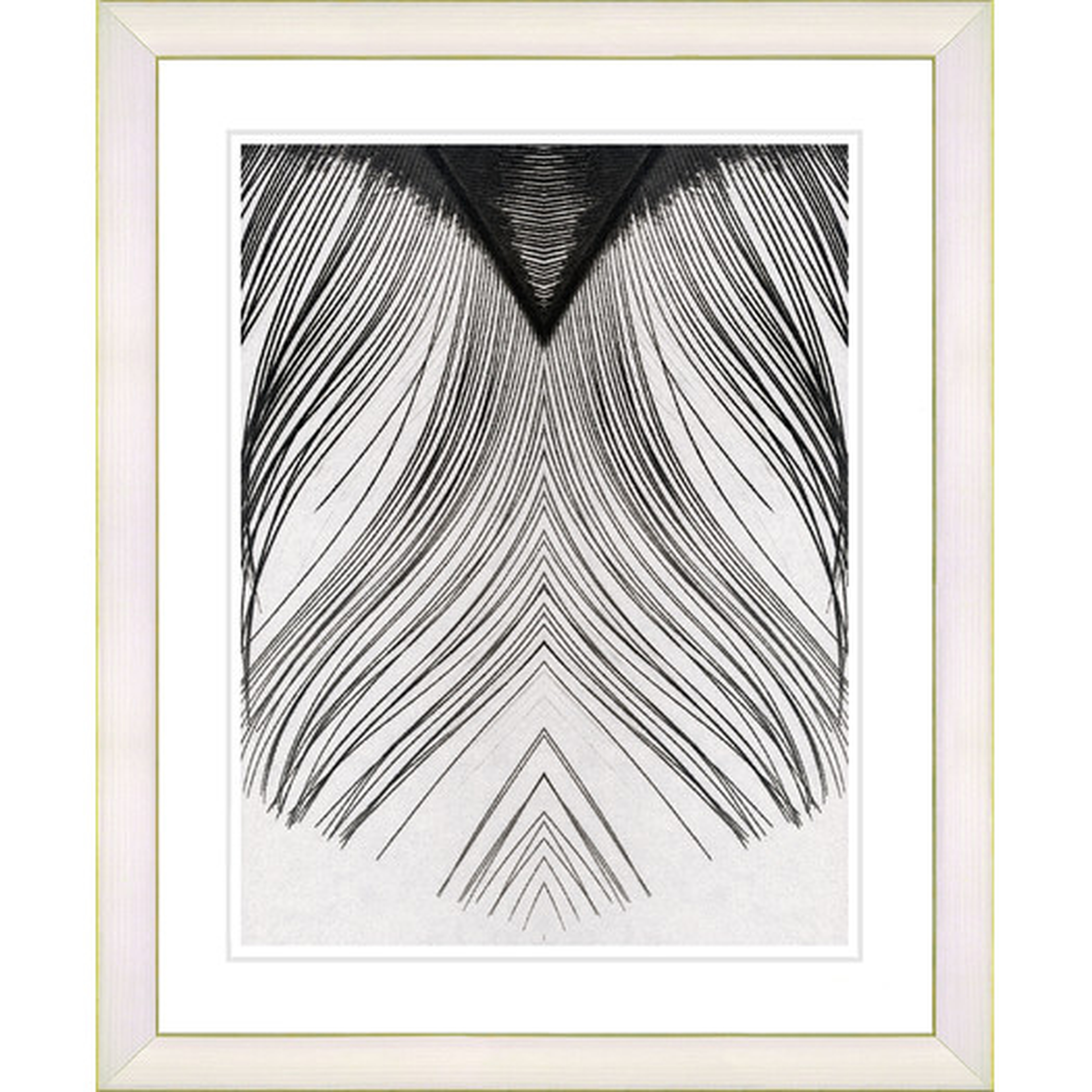White Feather" by Zhee Singer Framed Fine Art Giclee Painting Print - AllModern