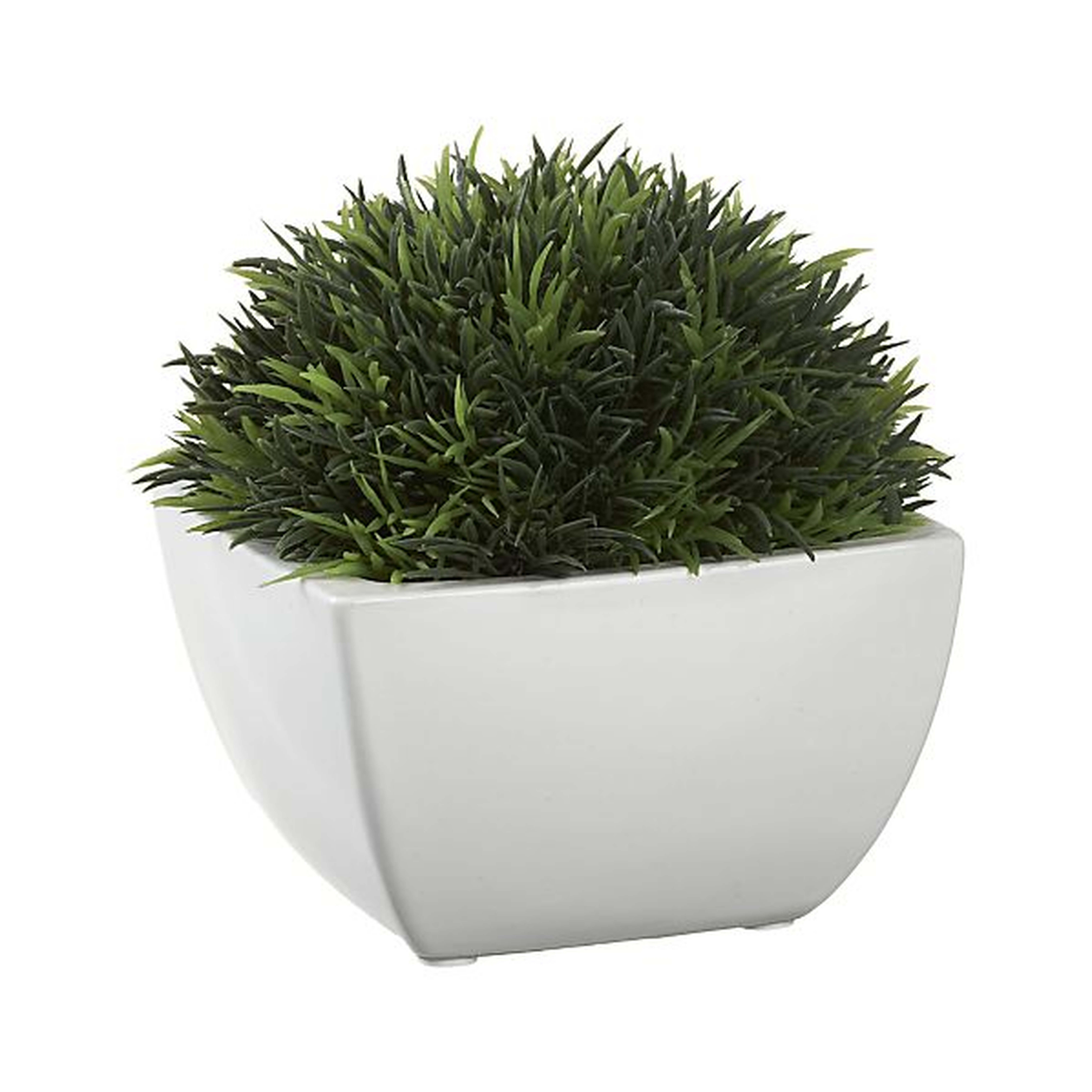 Potted Artificial Moss - Crate and Barrel