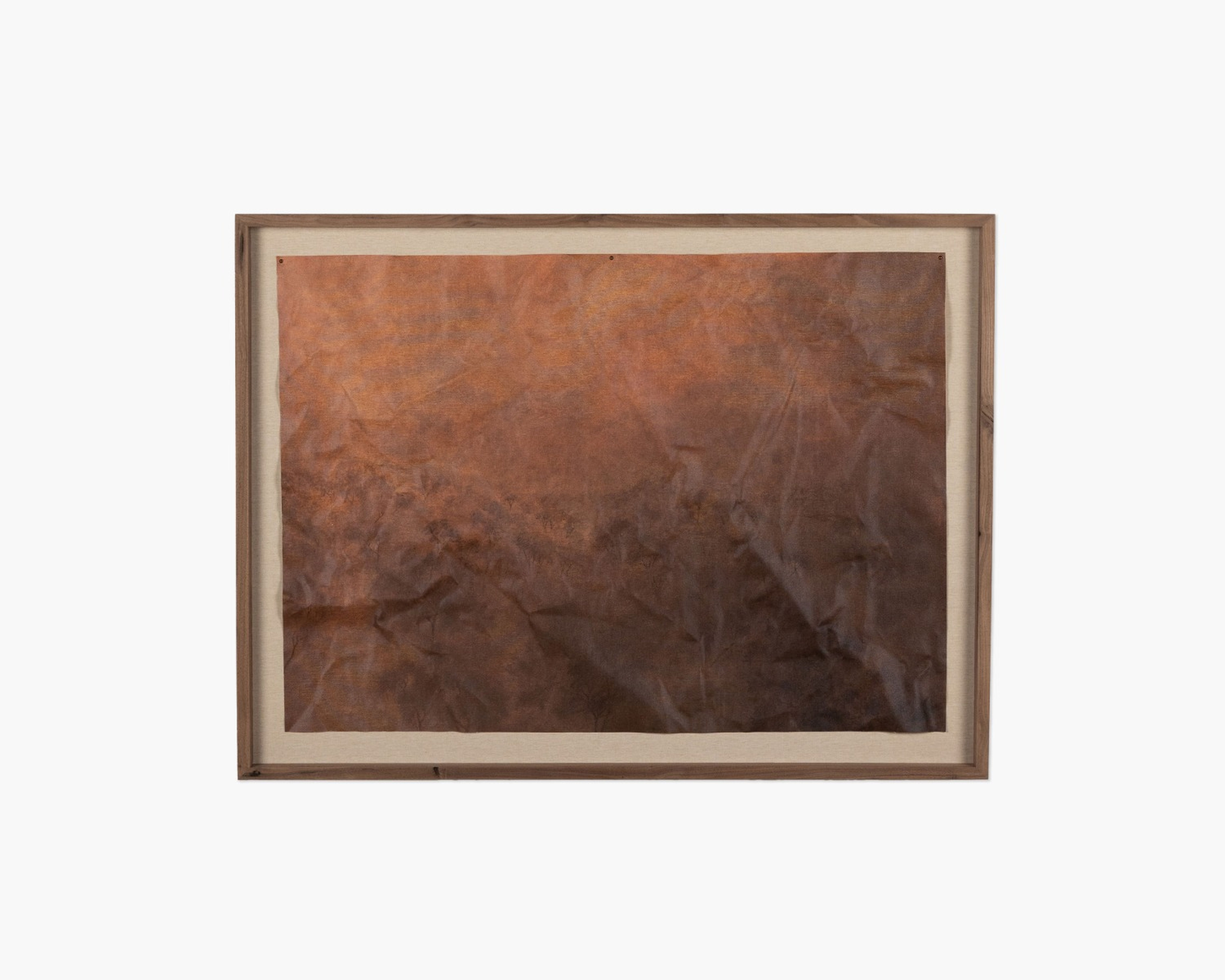 Flesh of the Earth by Aileen Fitzgerald Wall Art - Interior Define