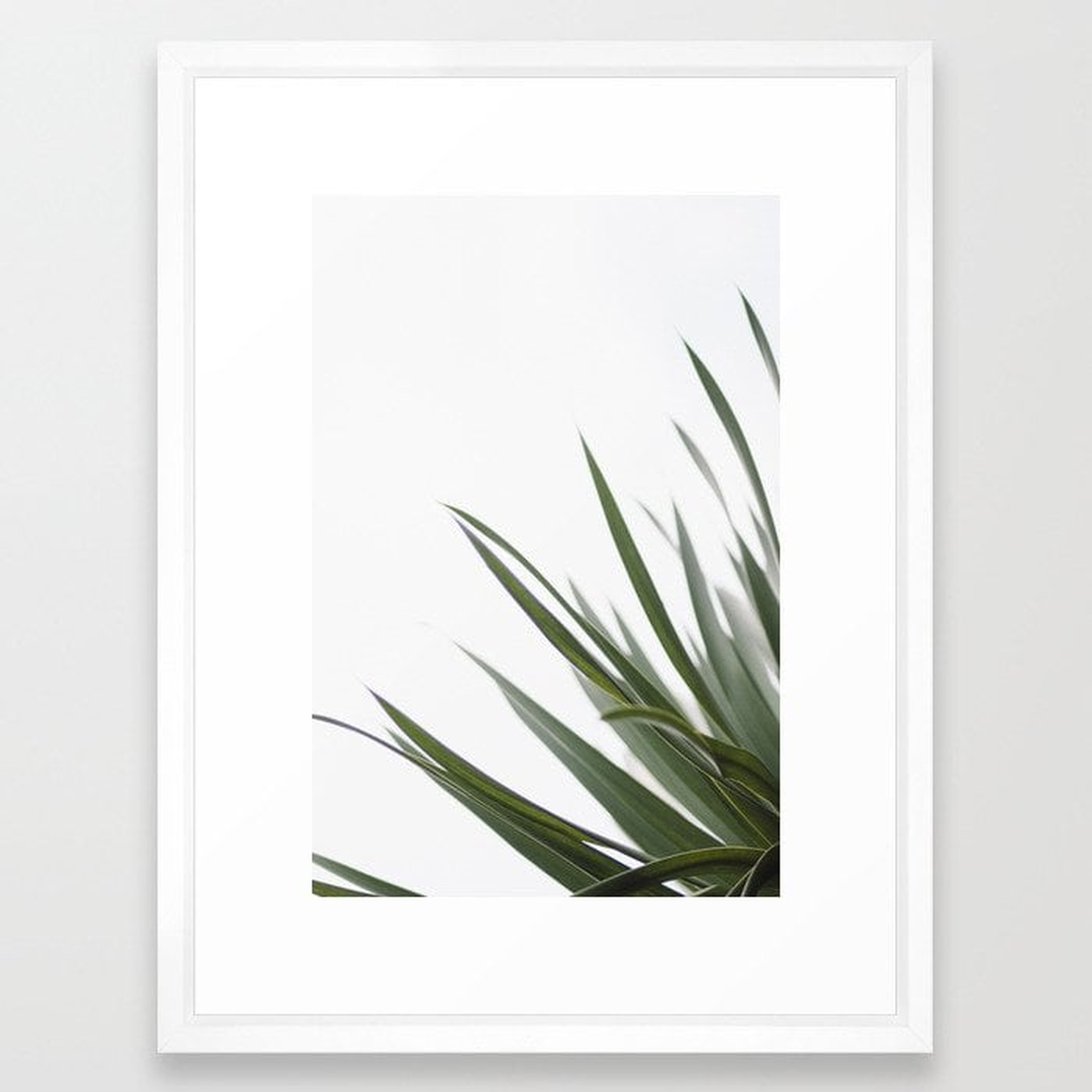 Wall Art - Olive Spines - Framed Print Vector White - 20" X 26" - Society6