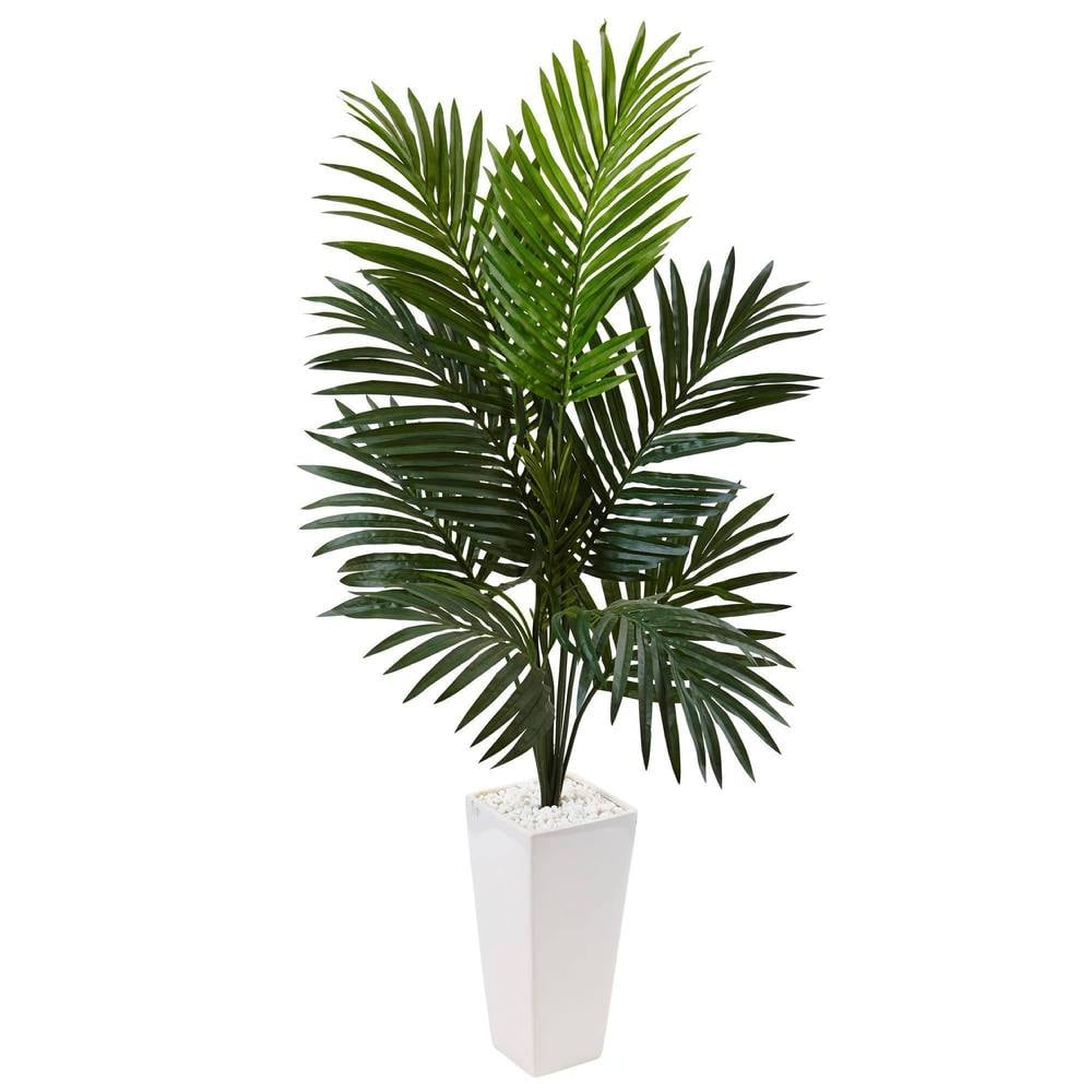 4.5’ Kentia Palm Tree in White Tower Planter - Fiddle + Bloom