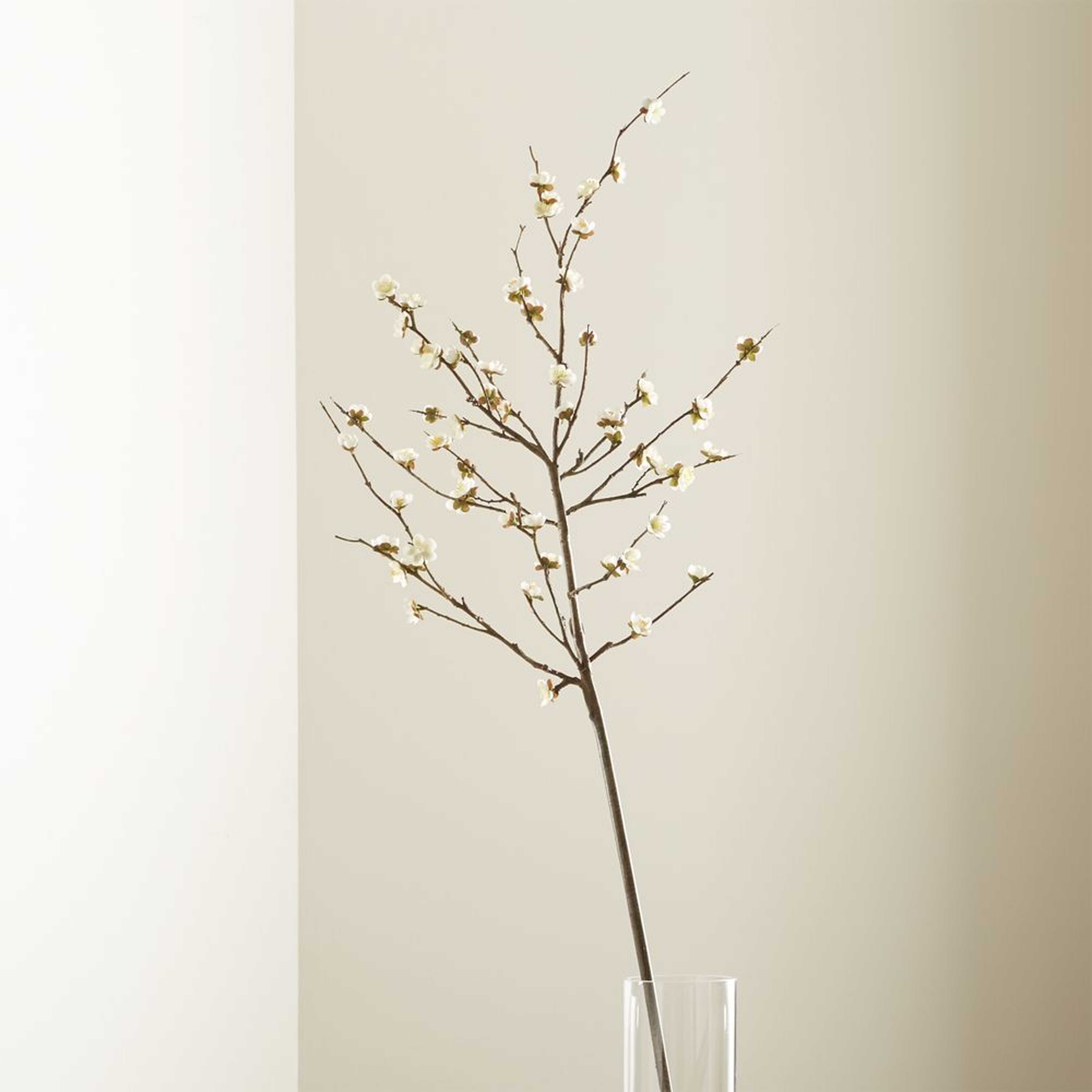 White Cherry Blossom Flower Branch - Crate and Barrel
