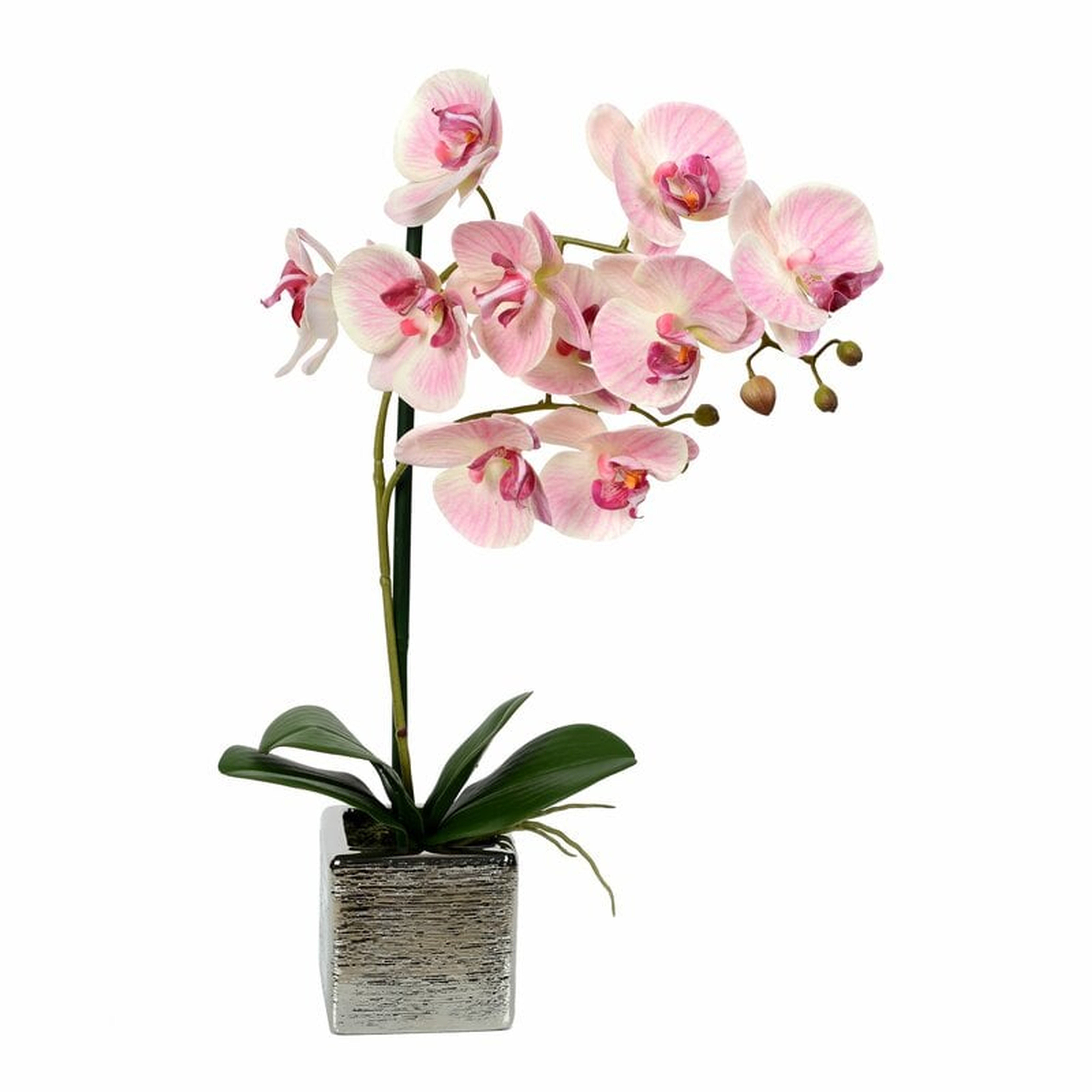 Artificial Phalaenopsis Floral Arrangement in Pot - Wayfair