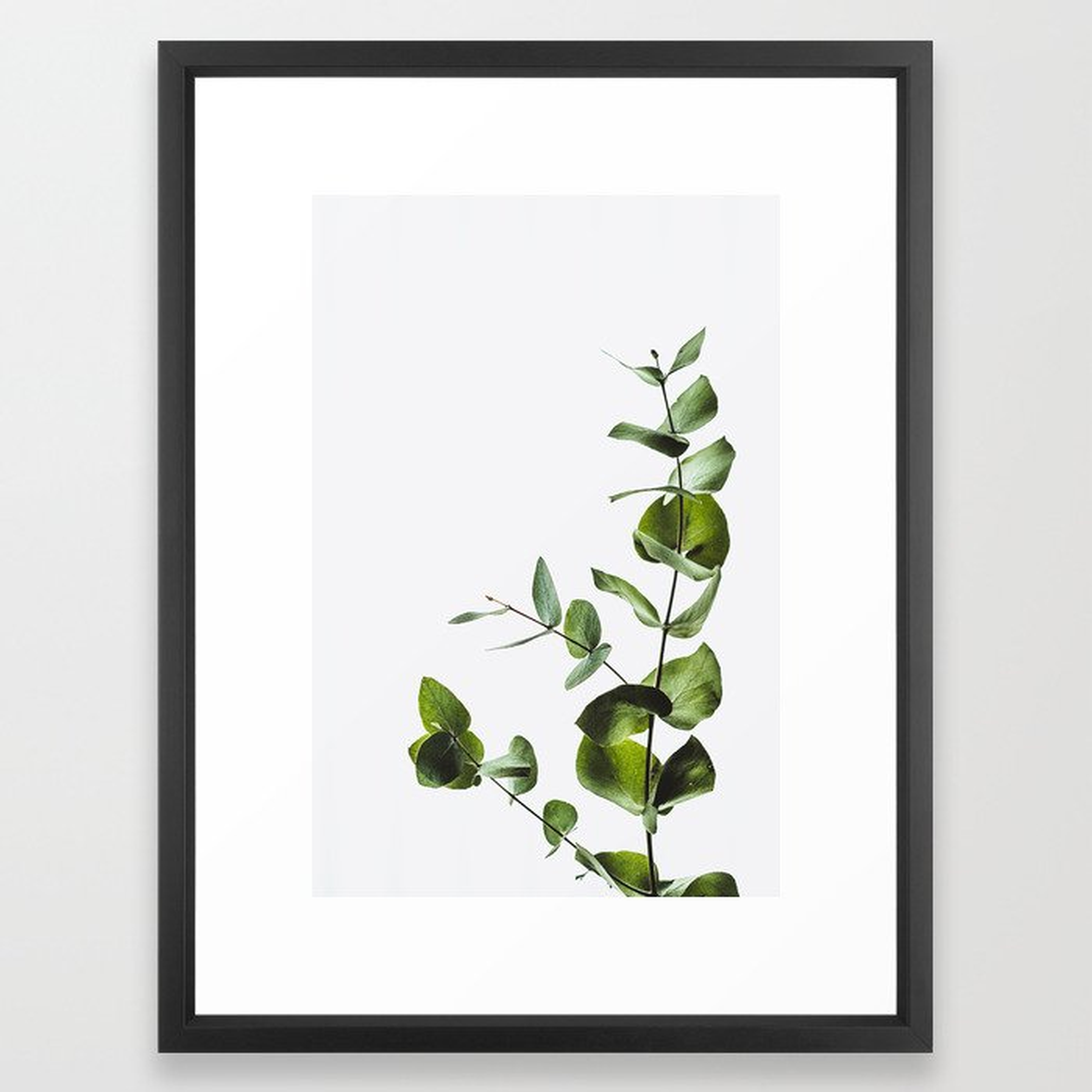 Leaves Art Print - Eucalyptus Leaf  - Framed Vector Black - 20" X 26" - Society6