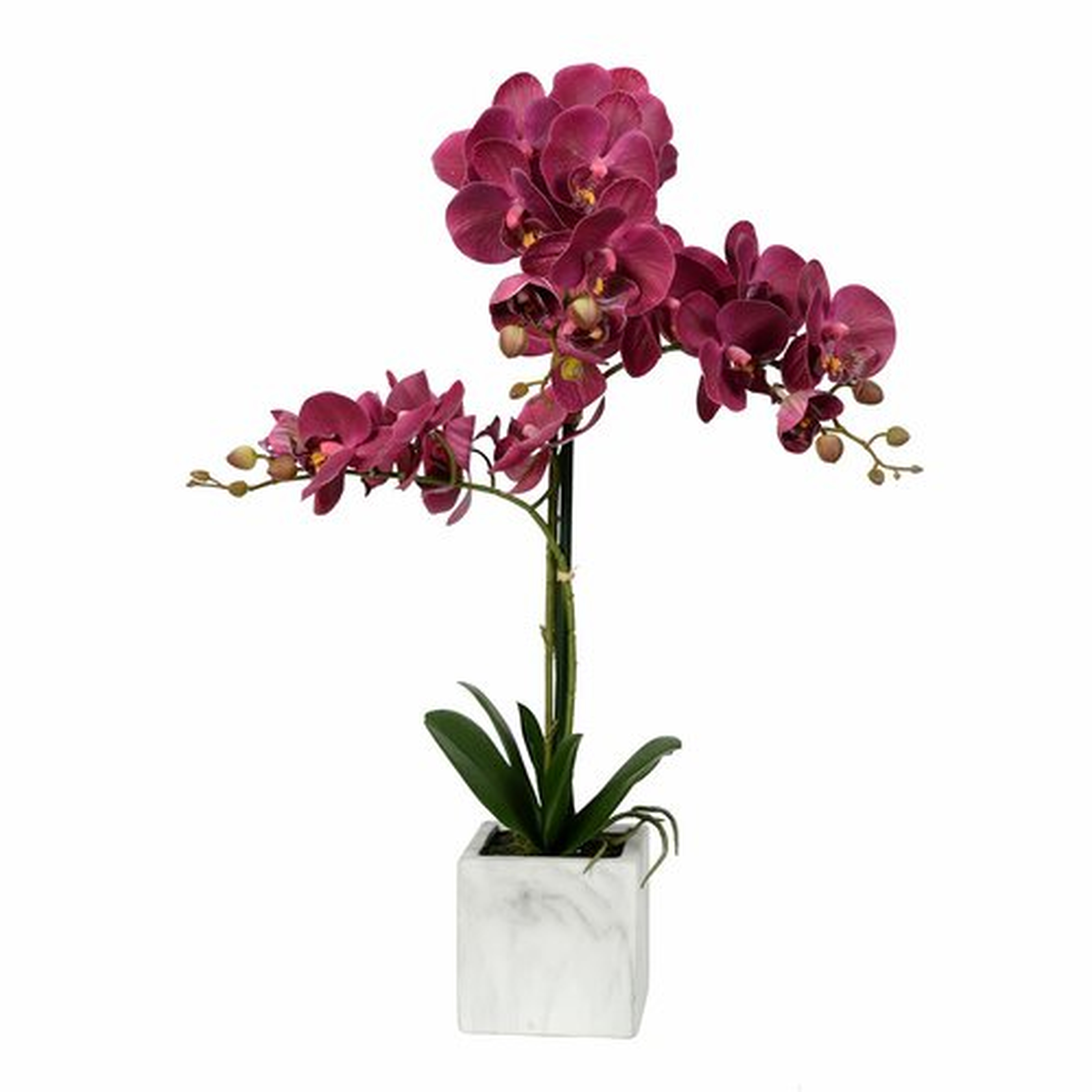 Artificial Phalaenopsis Floral Arrangement in Pot - Wayfair