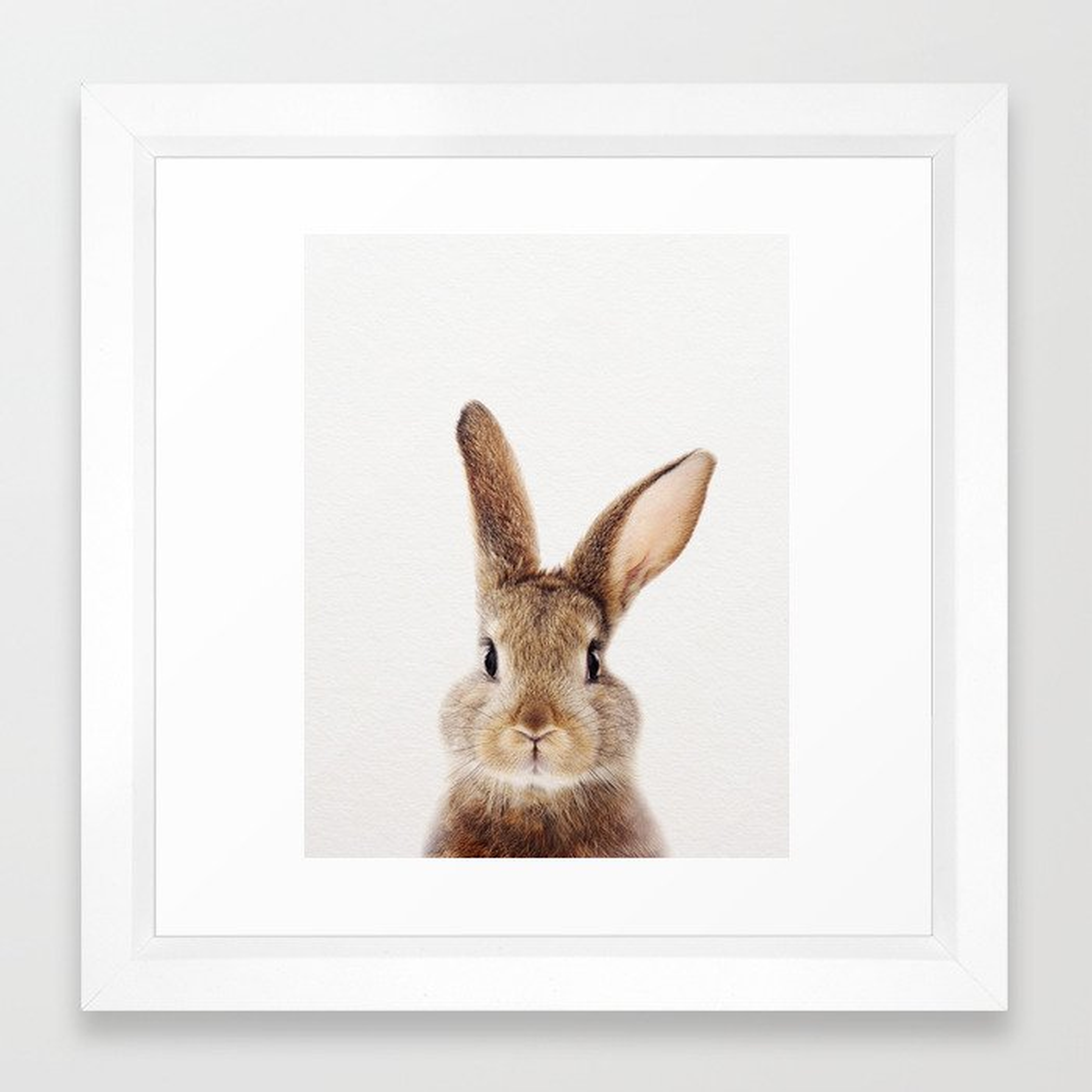 Baby Rabbit, Baby Animals Art Print By Synplus Framed Art Print - Society6