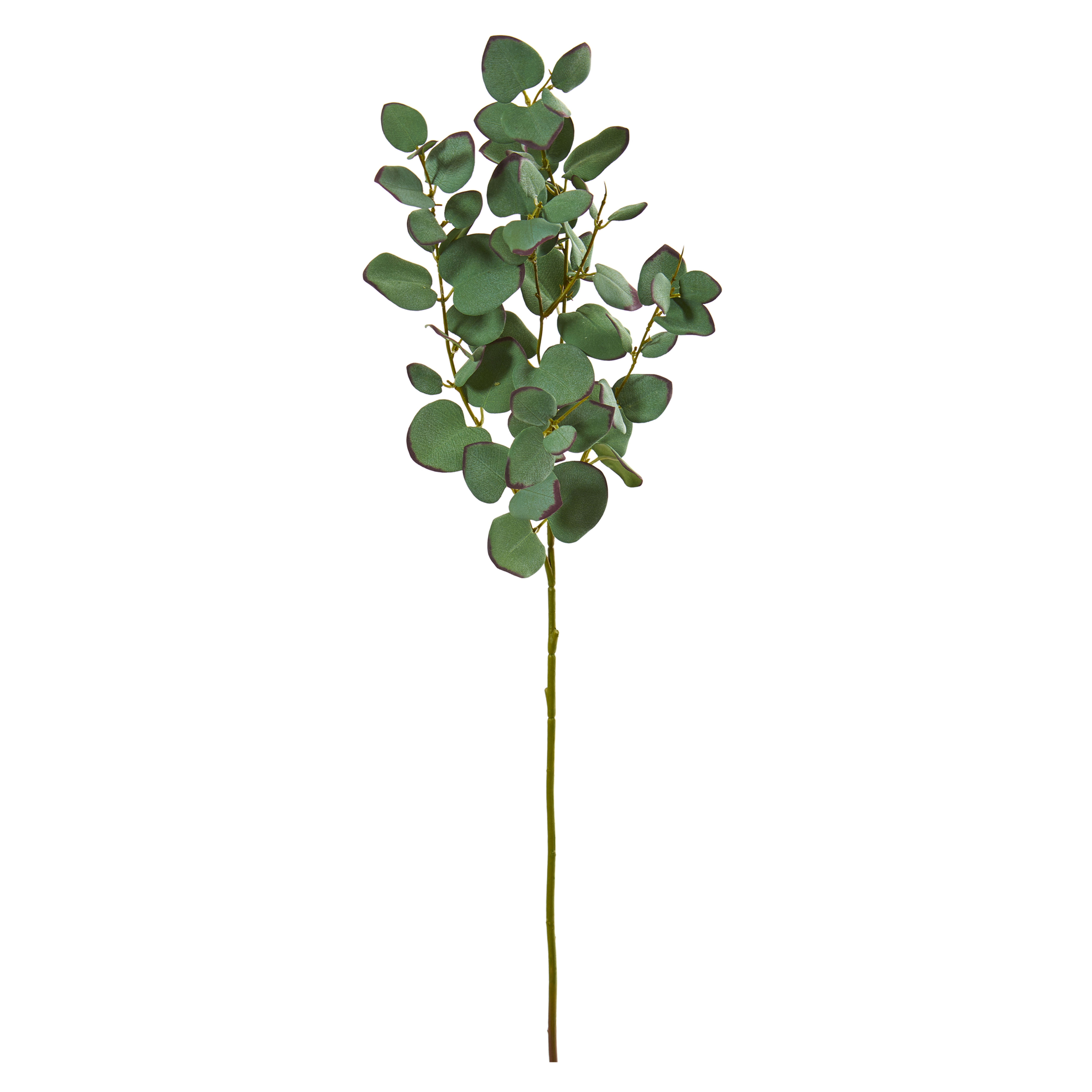 Faux Eucalyptus Branch, Set of 6 - Fiddle + Bloom
