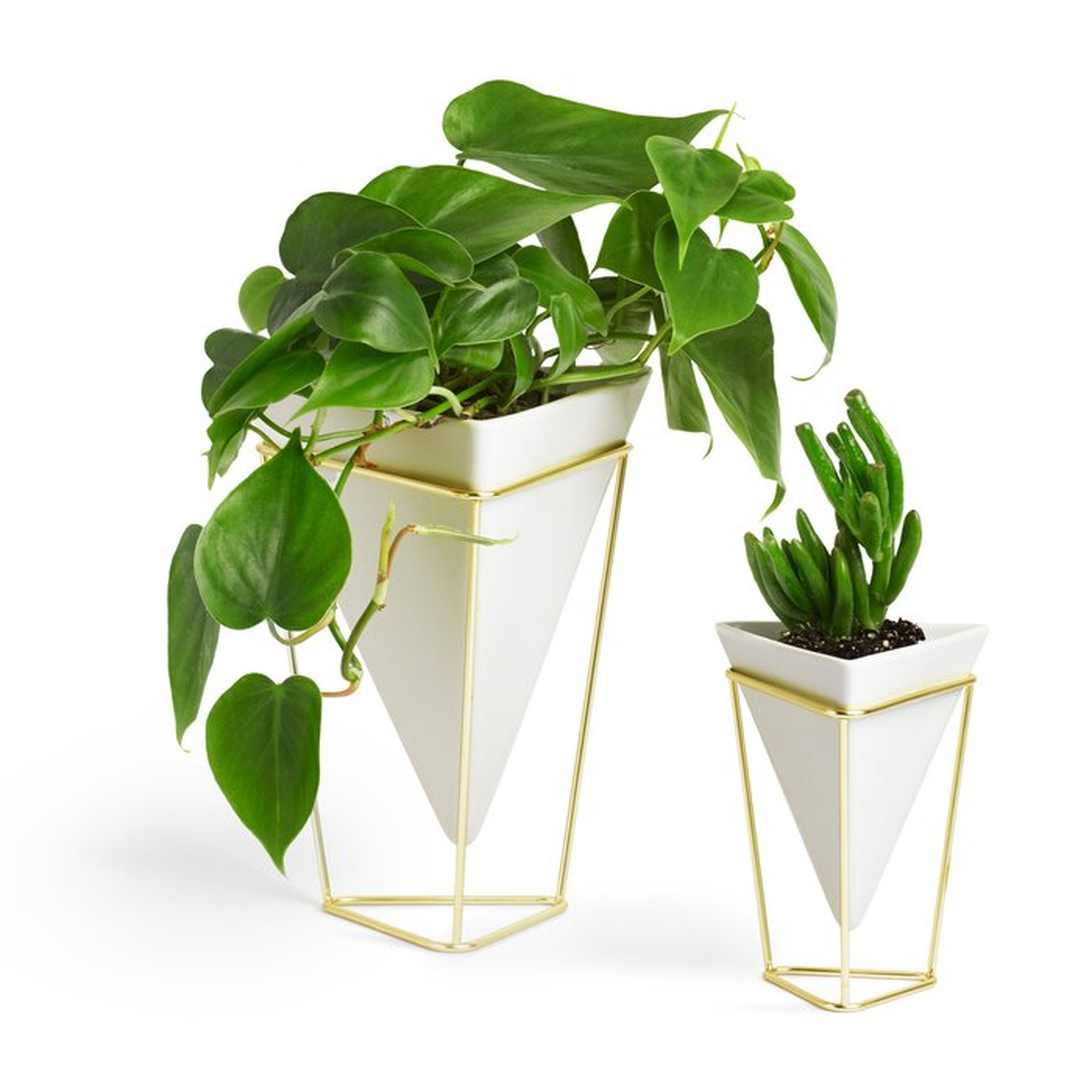 Trigg 2 Pieces Table Vase Set - Wayfair