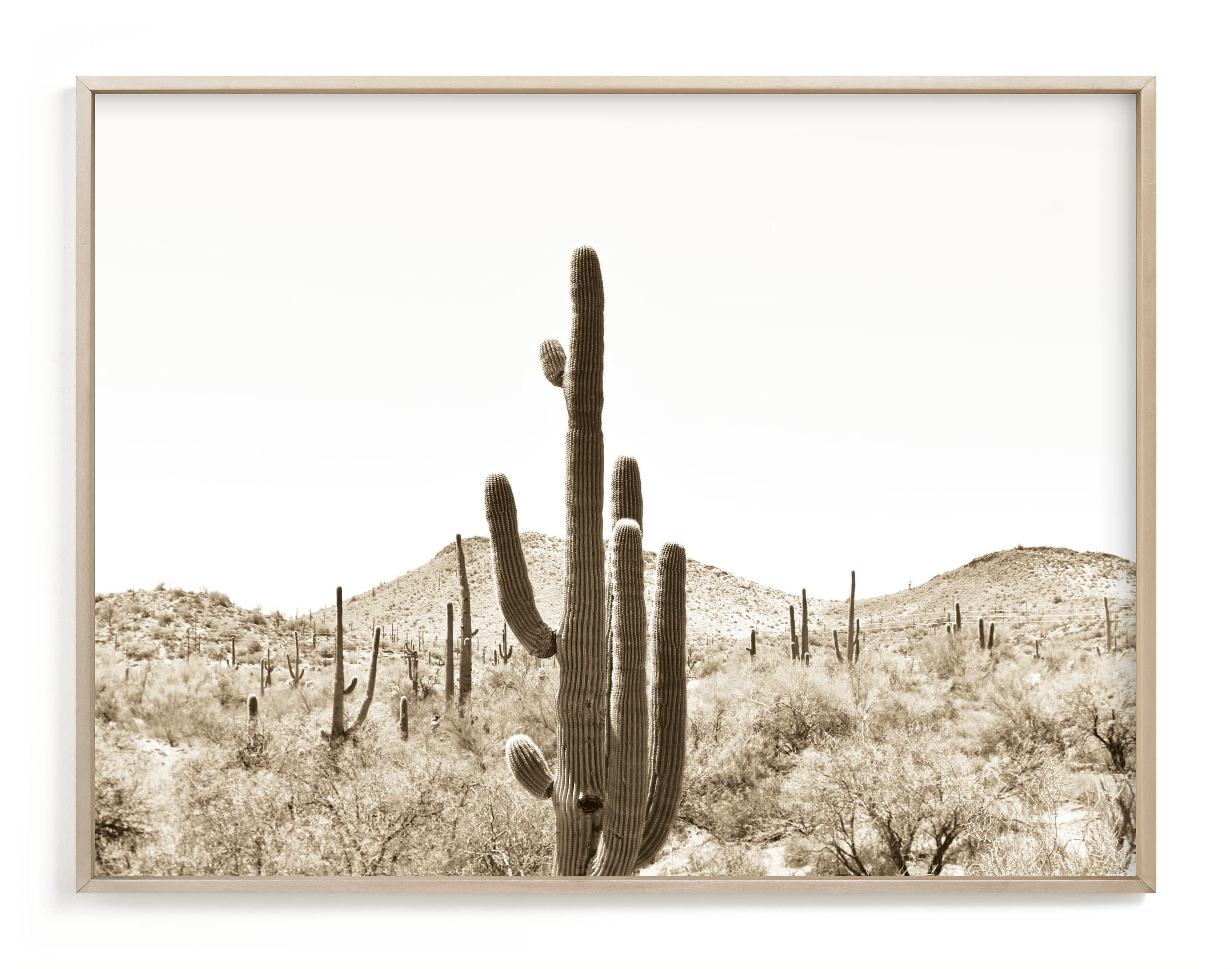 Cacti V Art Print- 40x30", print in matte brass frame - Minted